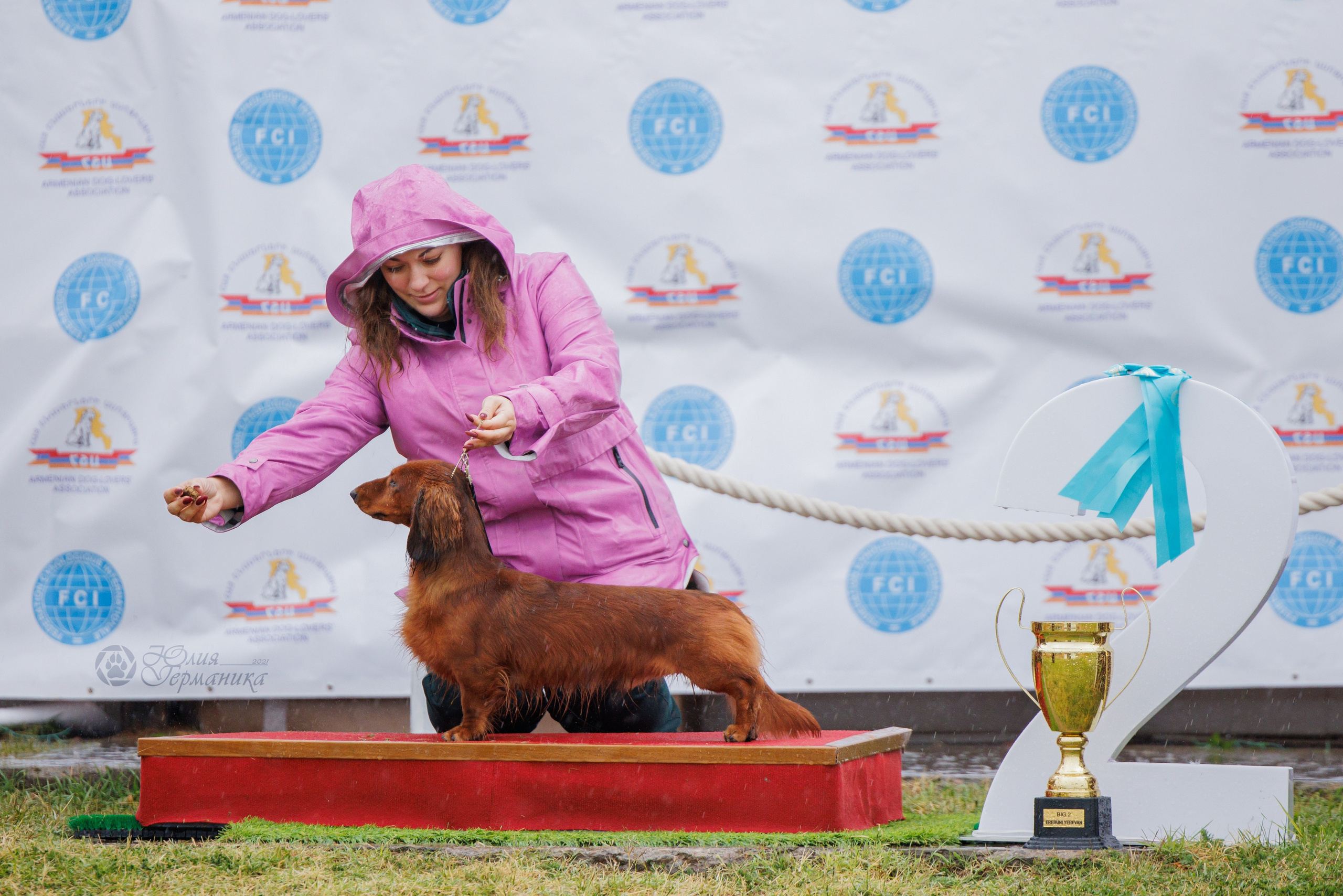 Армения,Ереван 3хCACIB 15-17.10.2024. Фотограф-анималист Юлия Германика