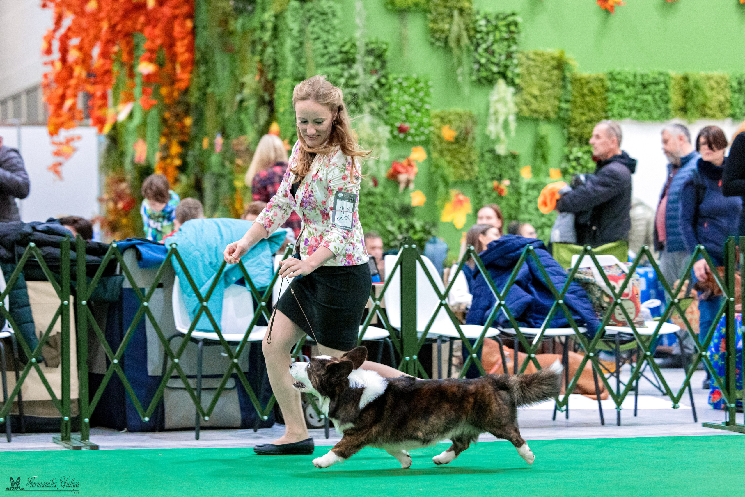 Сфера 29.10,Крокус 4.11,Сфера 12.11.2023. Фотограф-анималист Юлия Германика