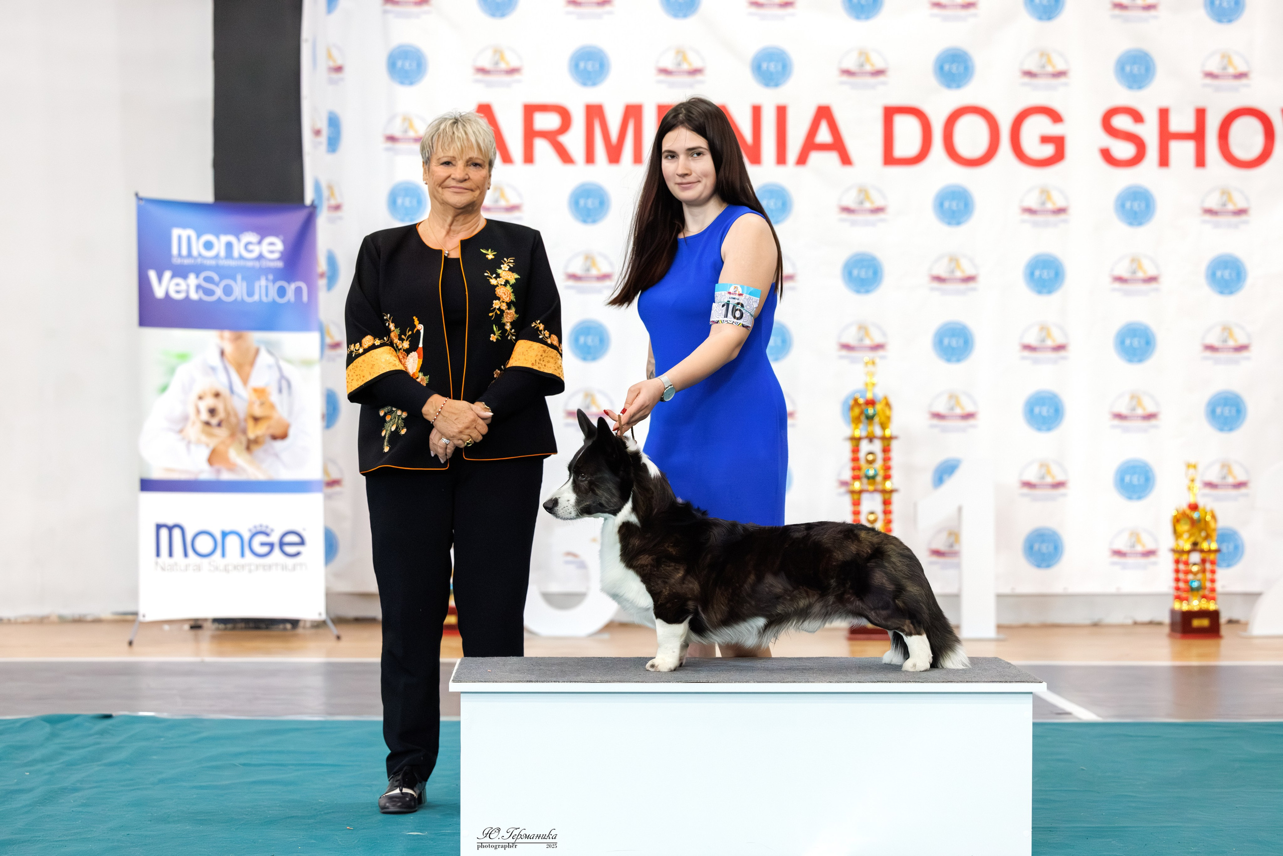 Ереван 2х CACIB 29-30.04.2025. Фотограф-анималист Юлия Германика