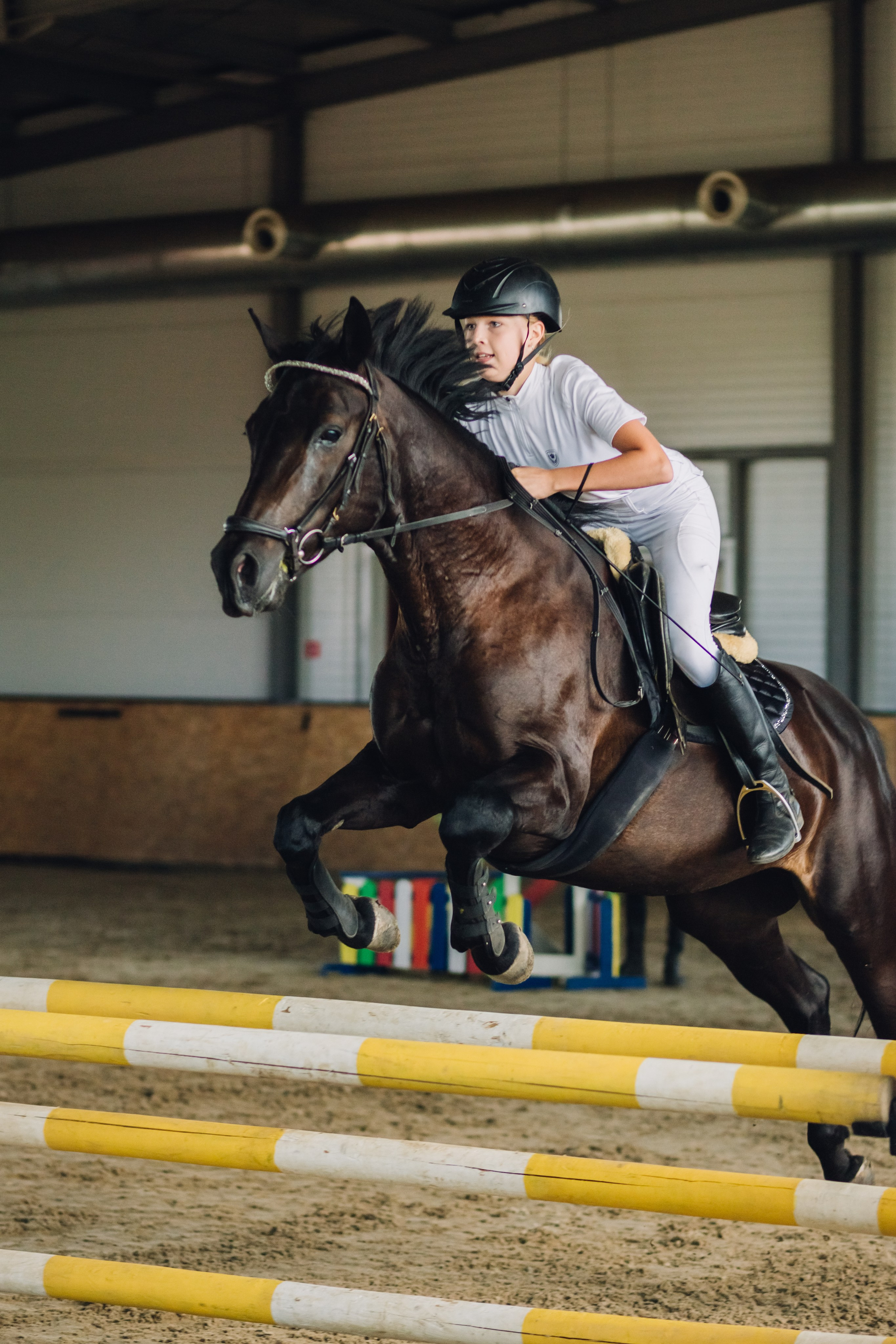Соревнования. Ольга Белова. Портреты с лошадьми. Конная фотография