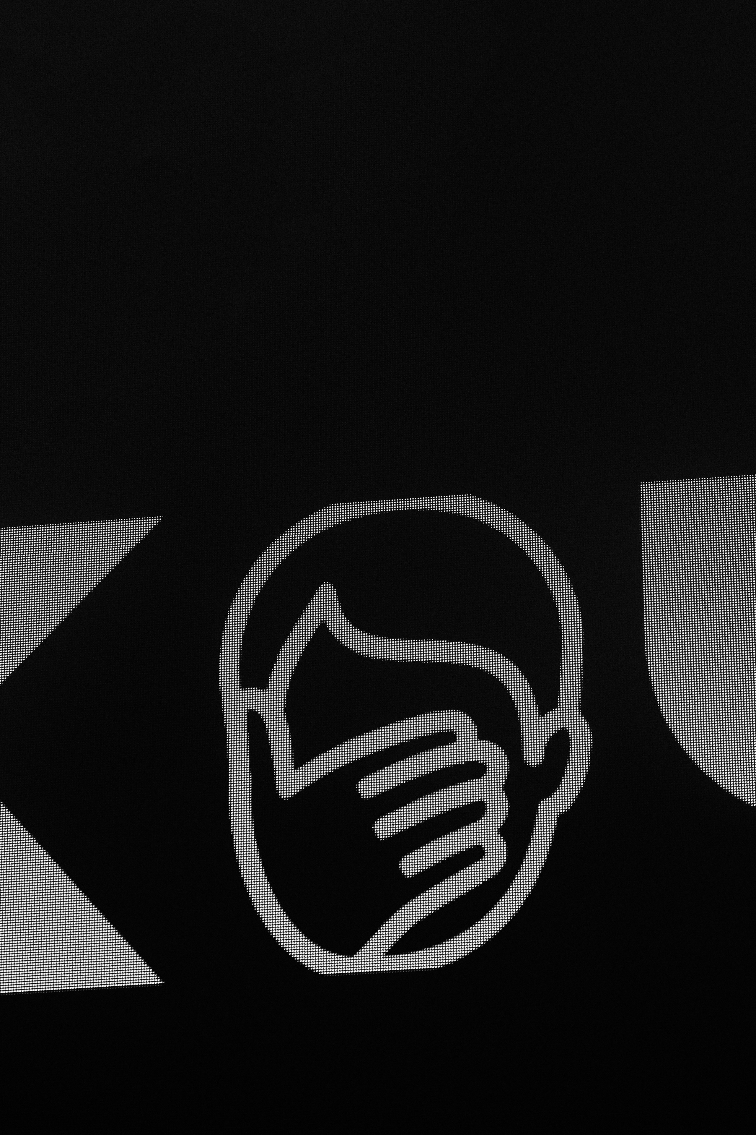 КОЧКА. Фотограф Айвазова Наталья Краснодар