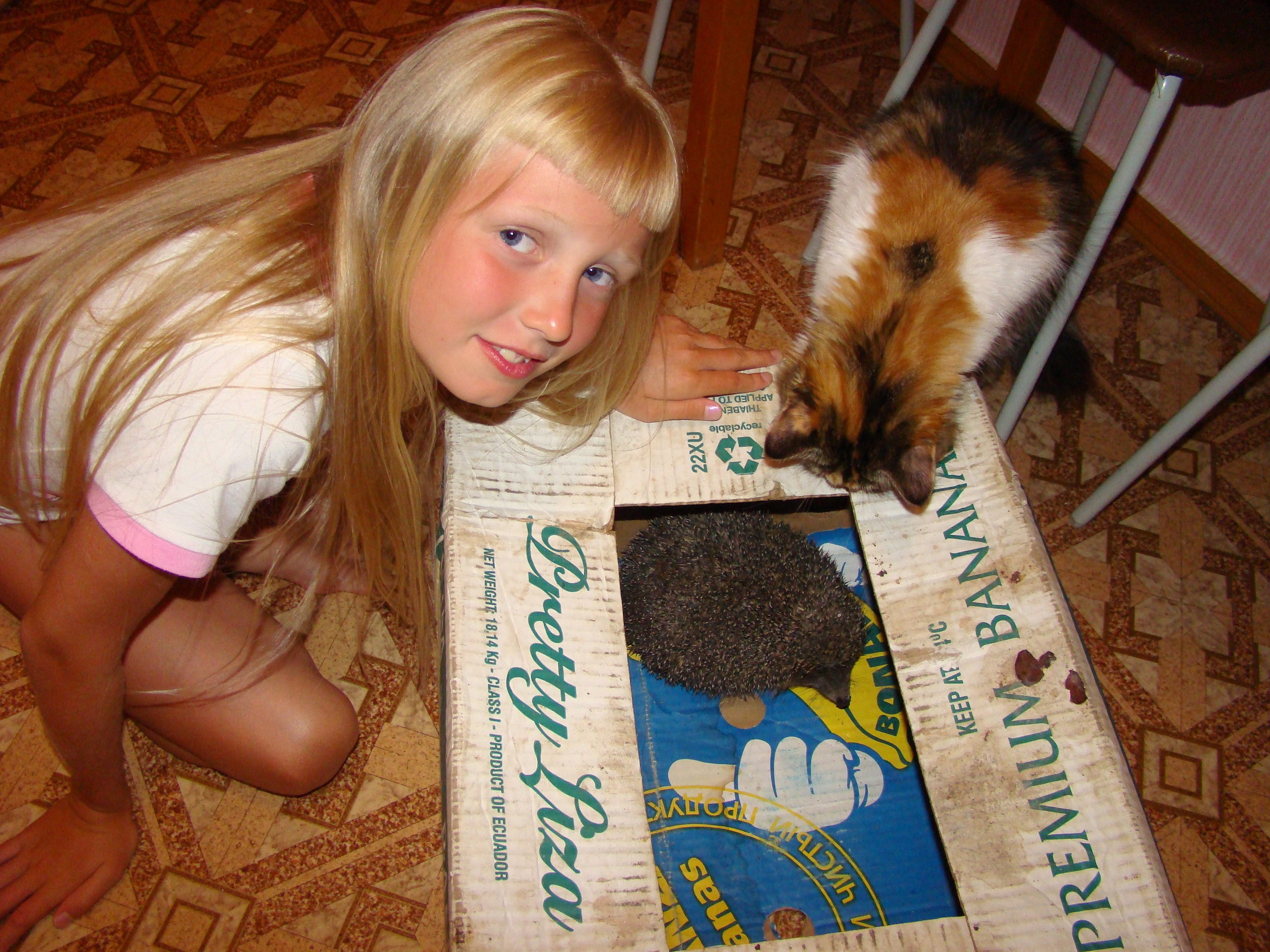 Кабардинка (фото Зевиных) 25.06-24.07.2008. Семейный, Свадебный фотограф СПБ Питер— Романова Екатерина