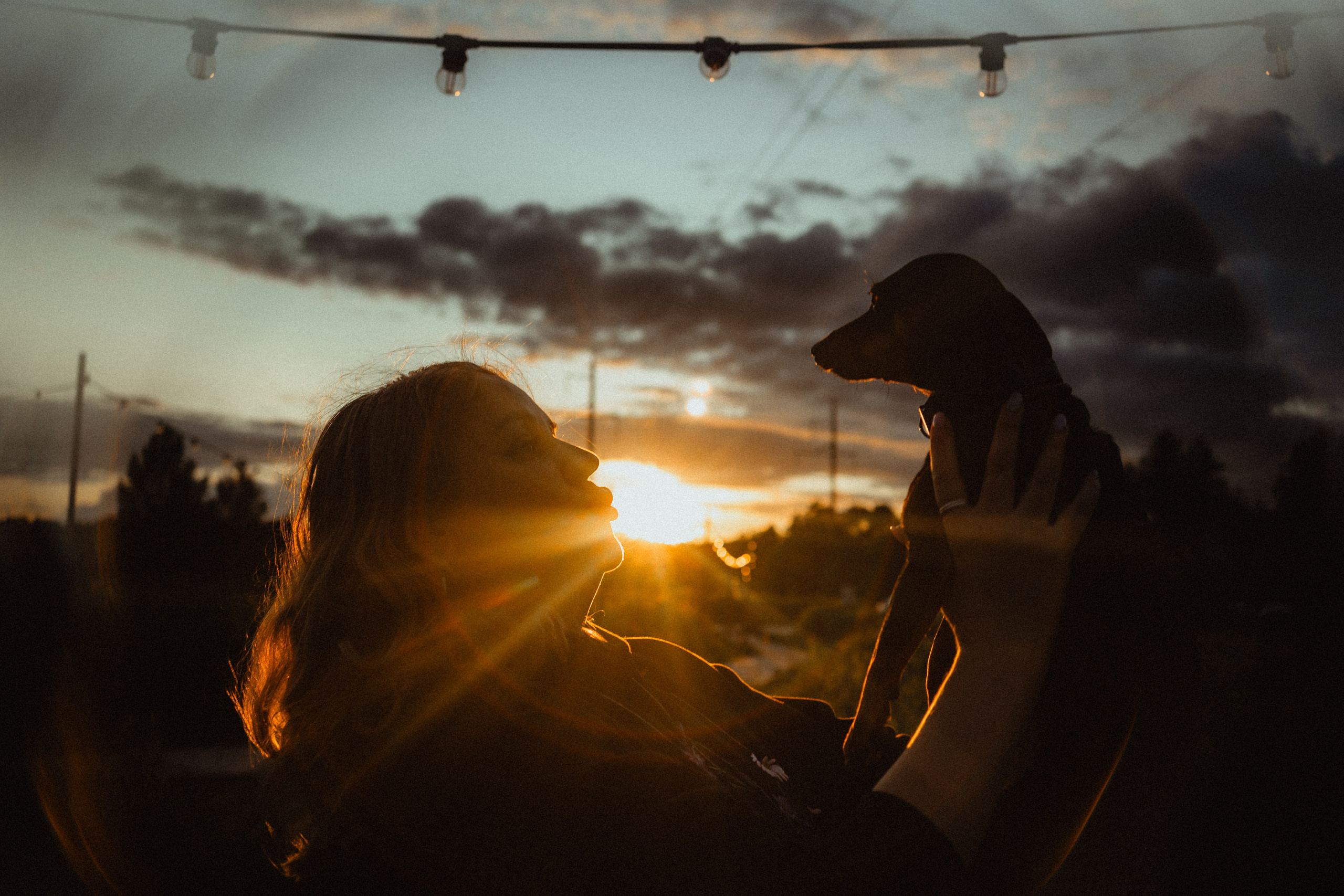 Выездной дог-тренинг от школы «Шерсть имею»