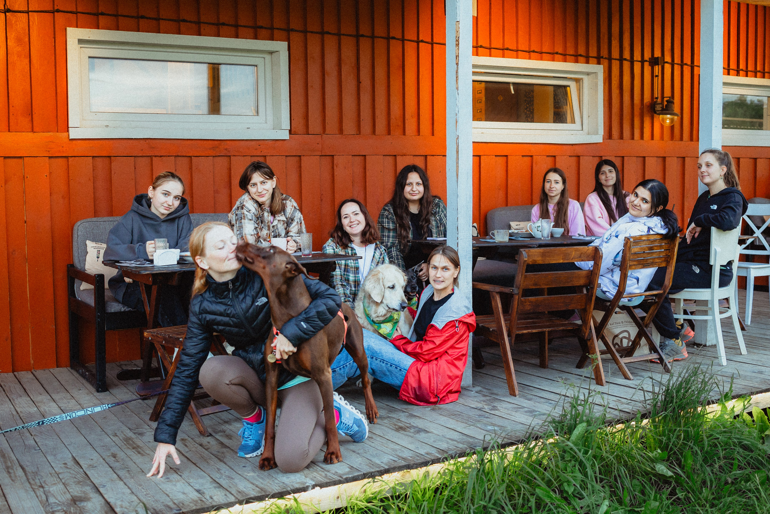 Выездной дог-тренинг от школы «Шерсть имею»