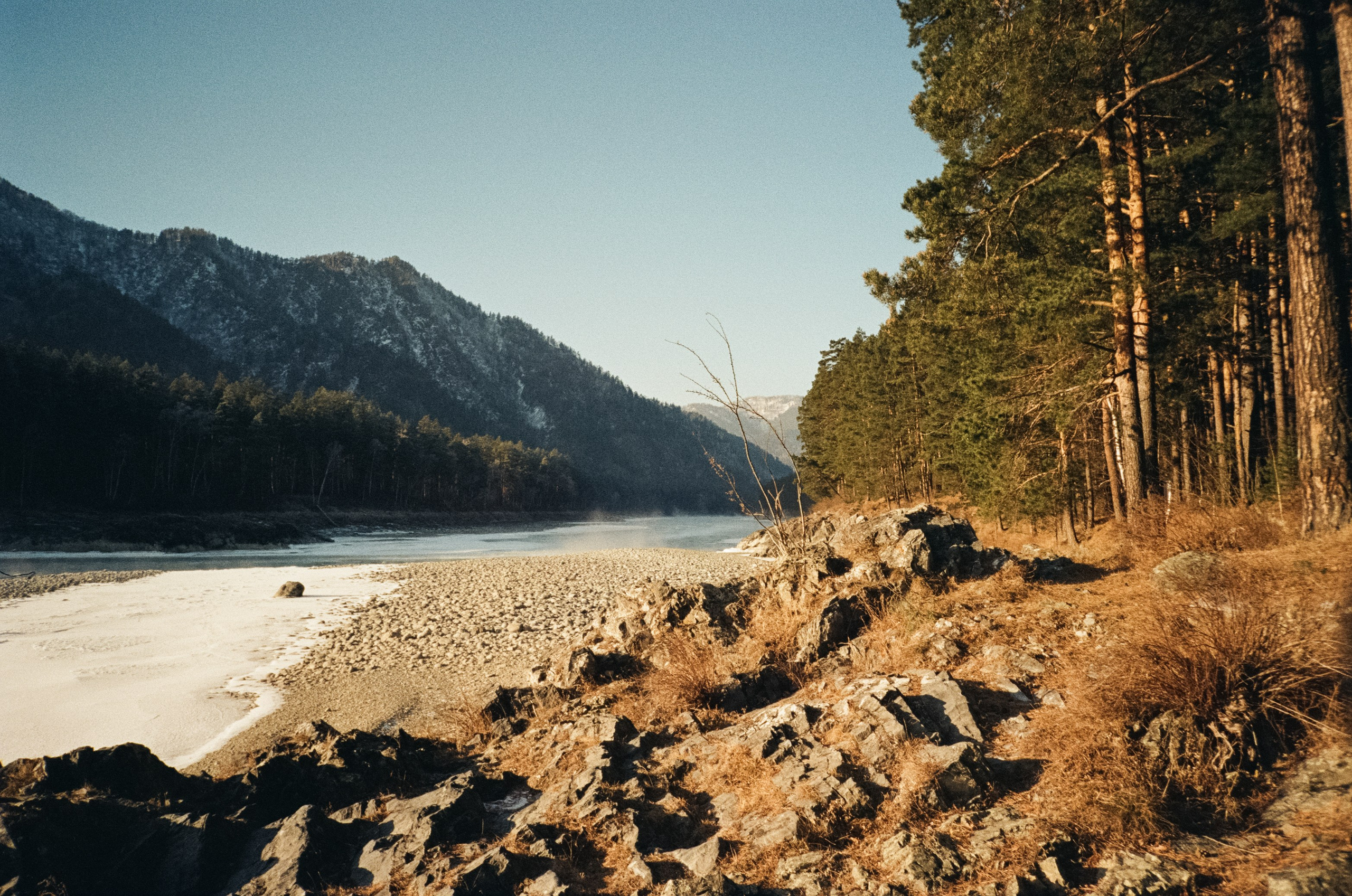 Кедровый остров и Семинская поляна в солнечный день. Фотограф-документалист Мария Осокина