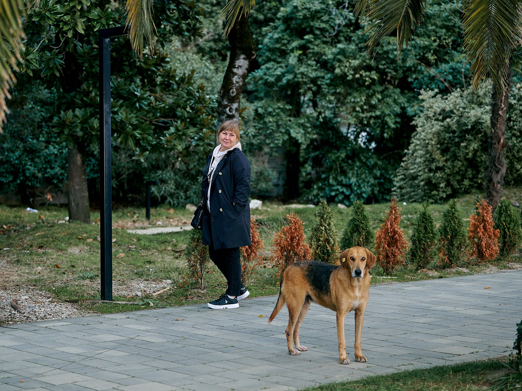 Гагра, Абхазия. Декабрь 2024. Фотографии отовсюду и обо всем