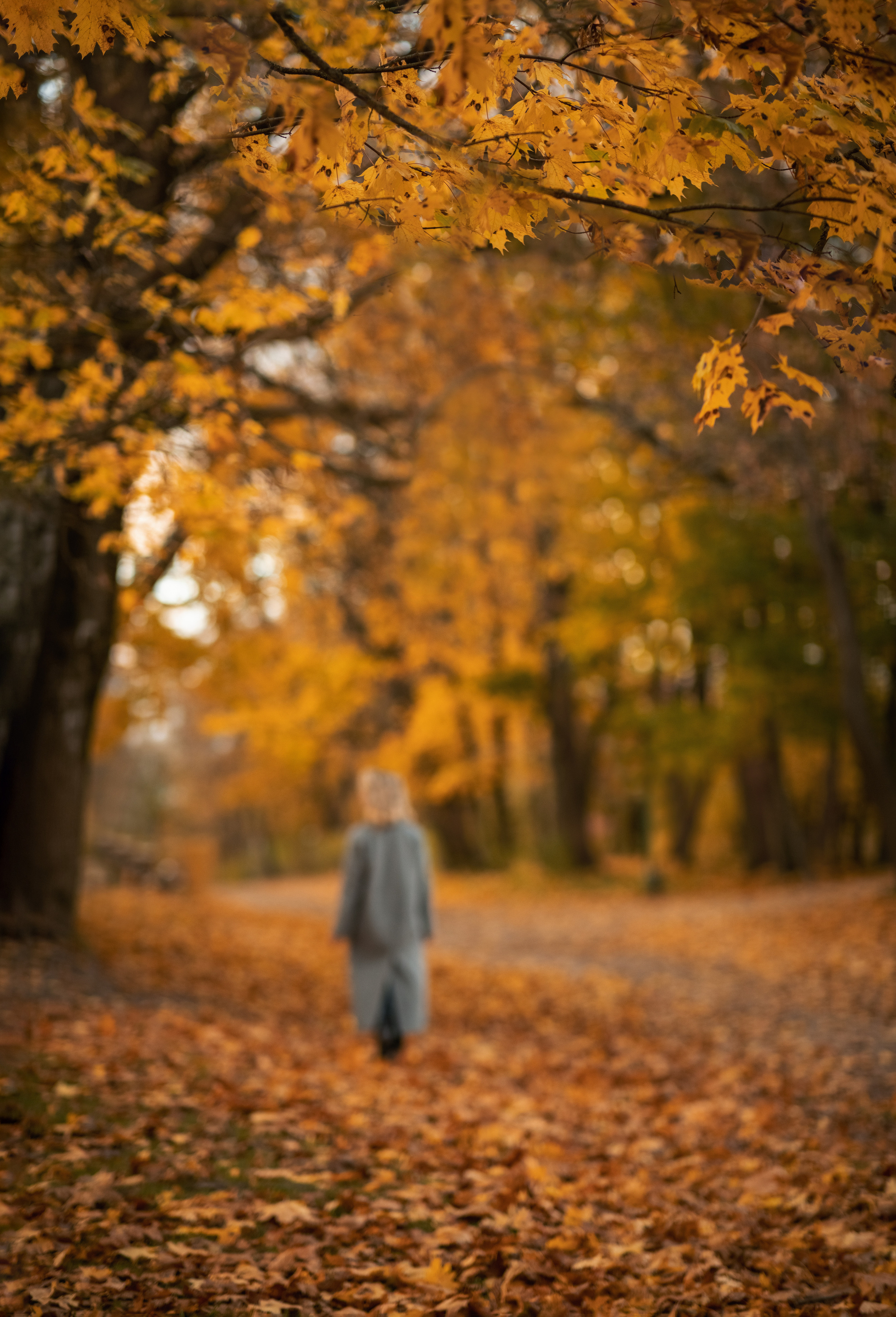 Фотопрогулка в Ясной Поляне для Ирины. Женский семейный фотограф Тула Москва Захарова Анна