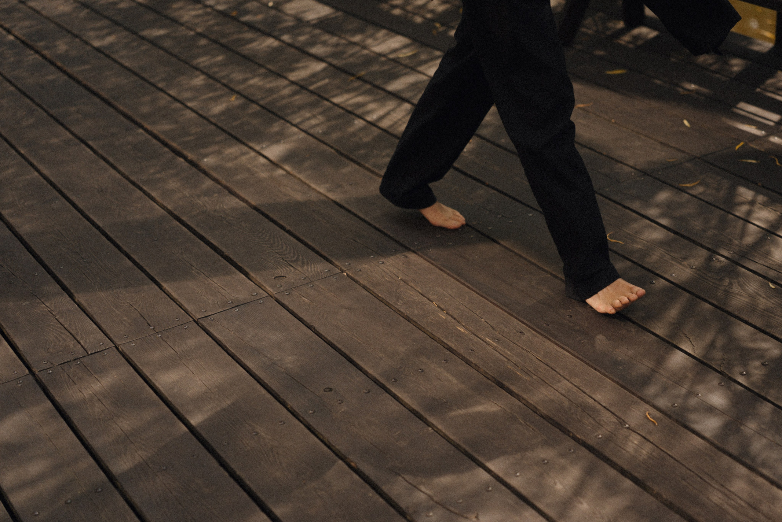 Forest Symphony. Фотограф в Санкт-Петербурге Александр Дымов