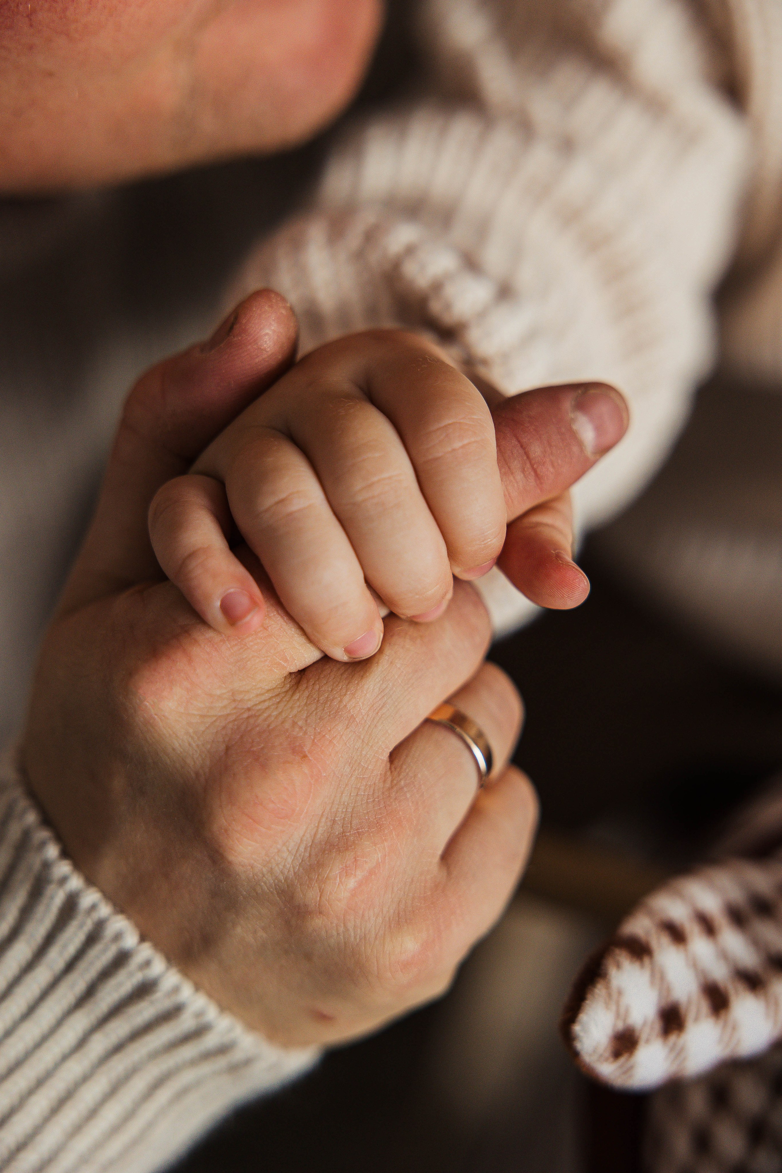 Домашняя фотосессия. Главная