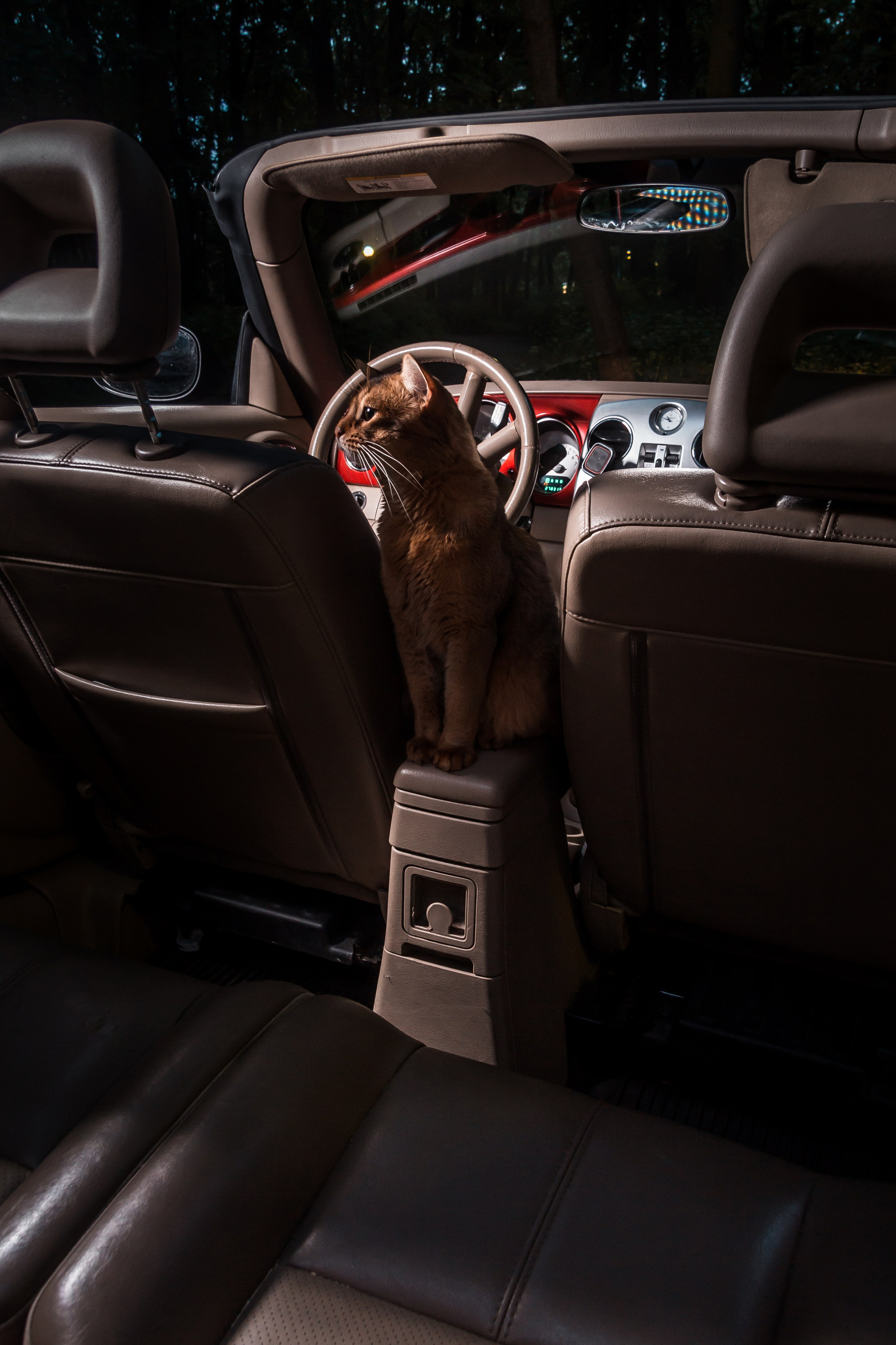 Контент-съёмки для предпринимателей и ремесленников. Профессиональный фотограф в Санкт-Петербурге Александр Волосенцев