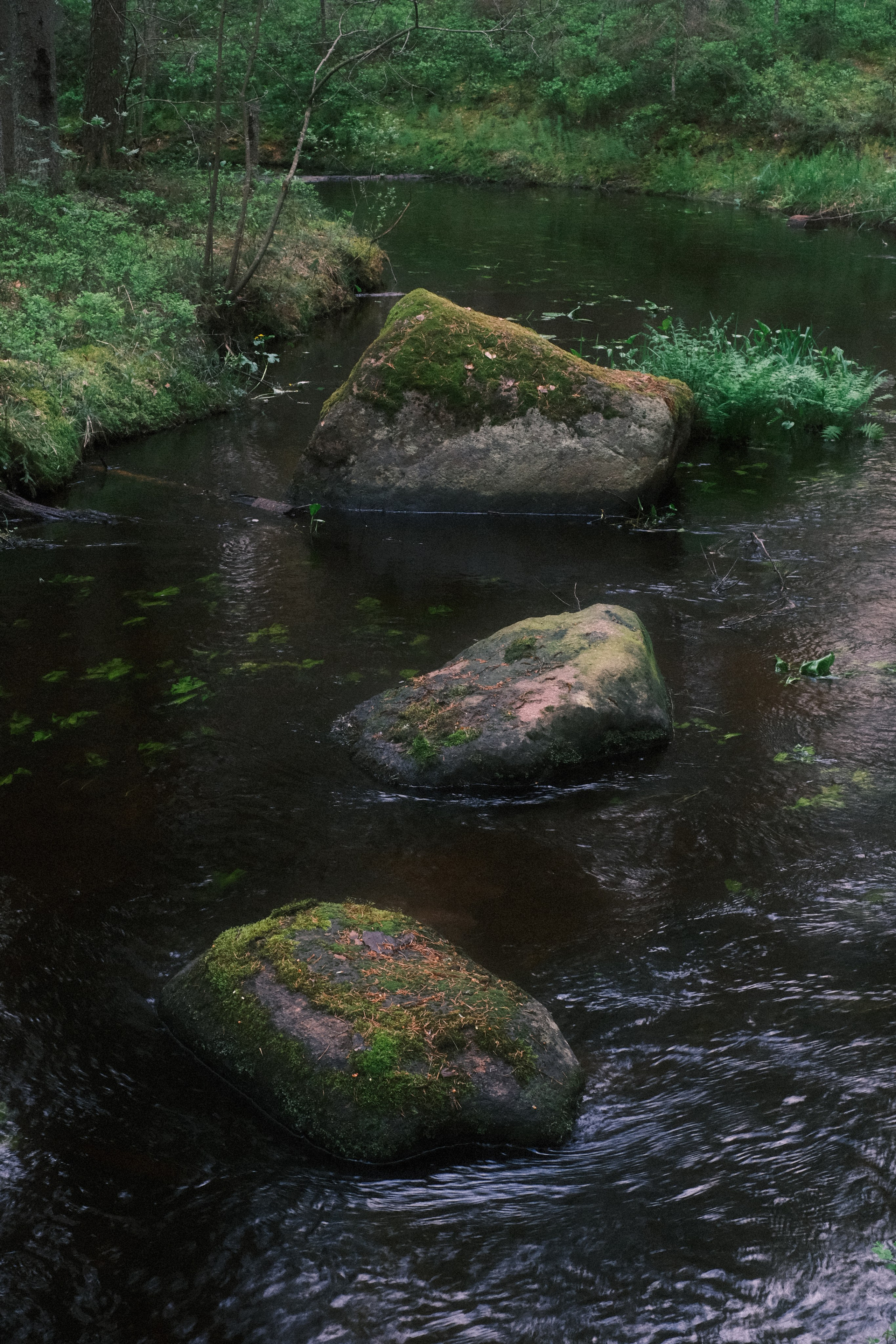 Орехово | май 2025