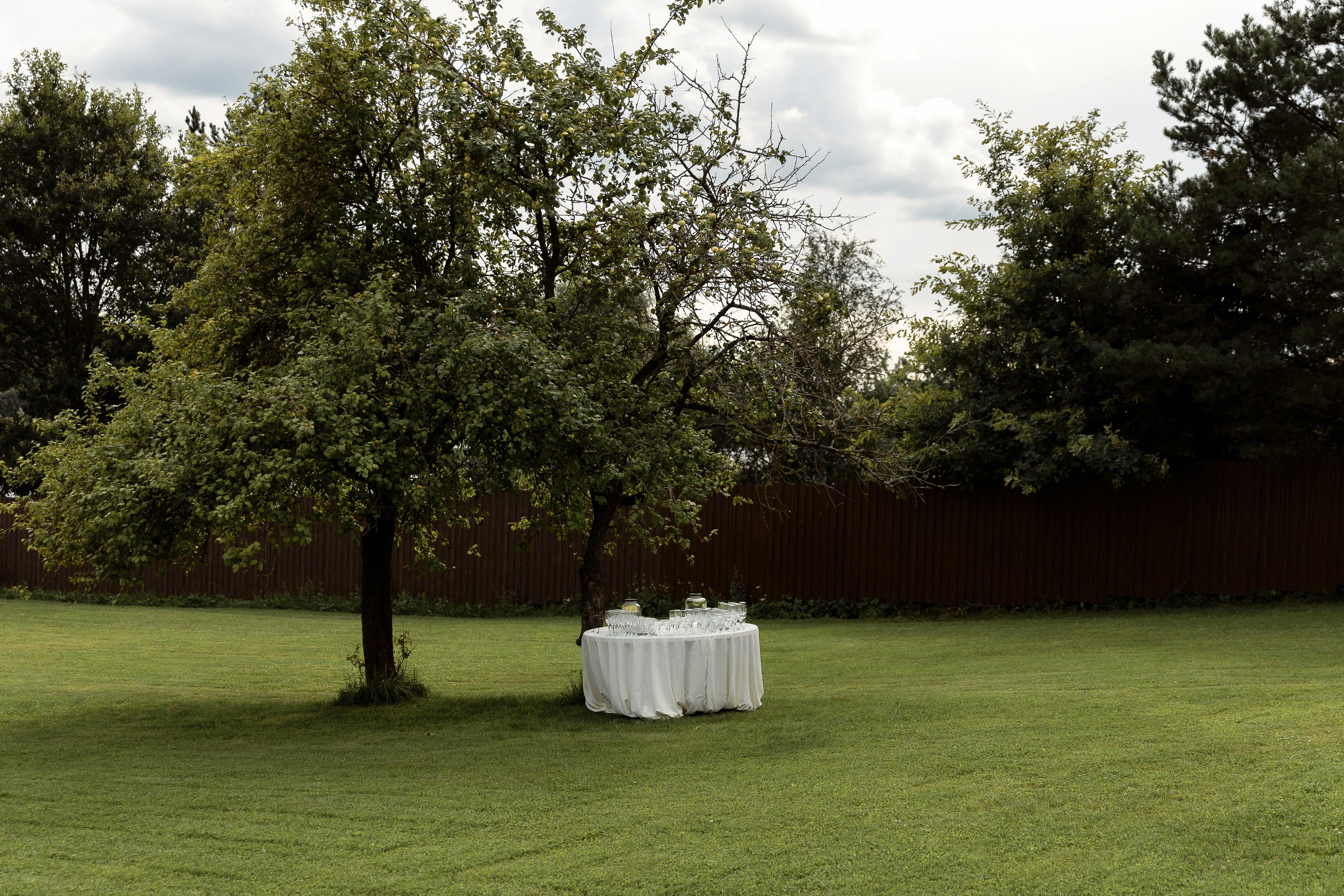 Катя и Саша. Свадебный и семейный фотограф Татьяна Ласкина в Великом Новгороде