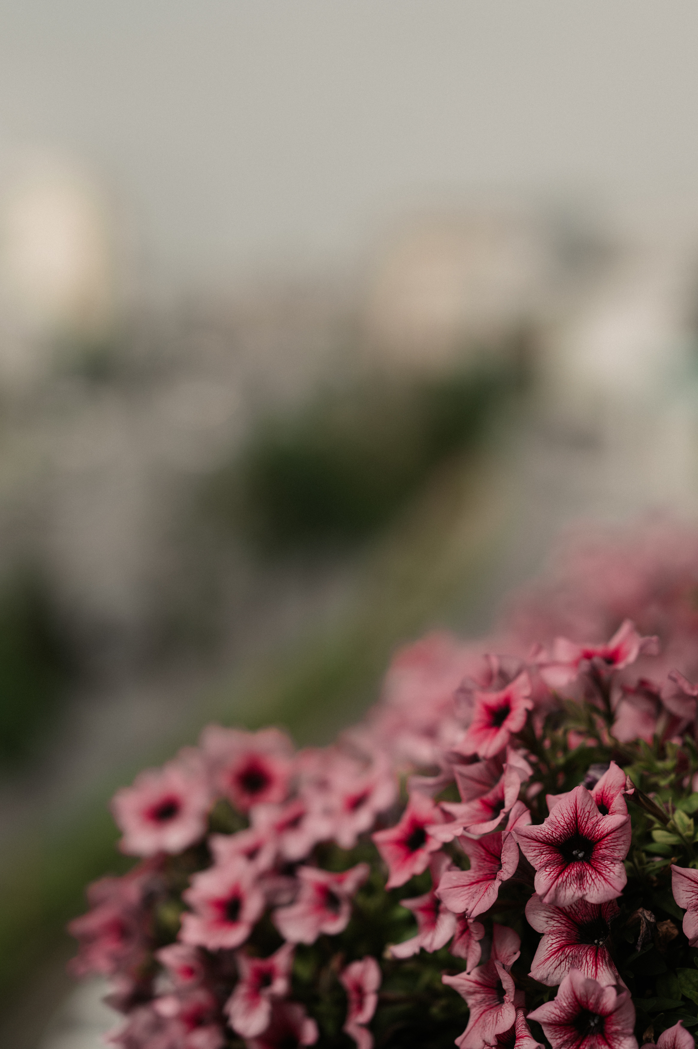 Искренне. Свадебный фотограф Александр Давыдов