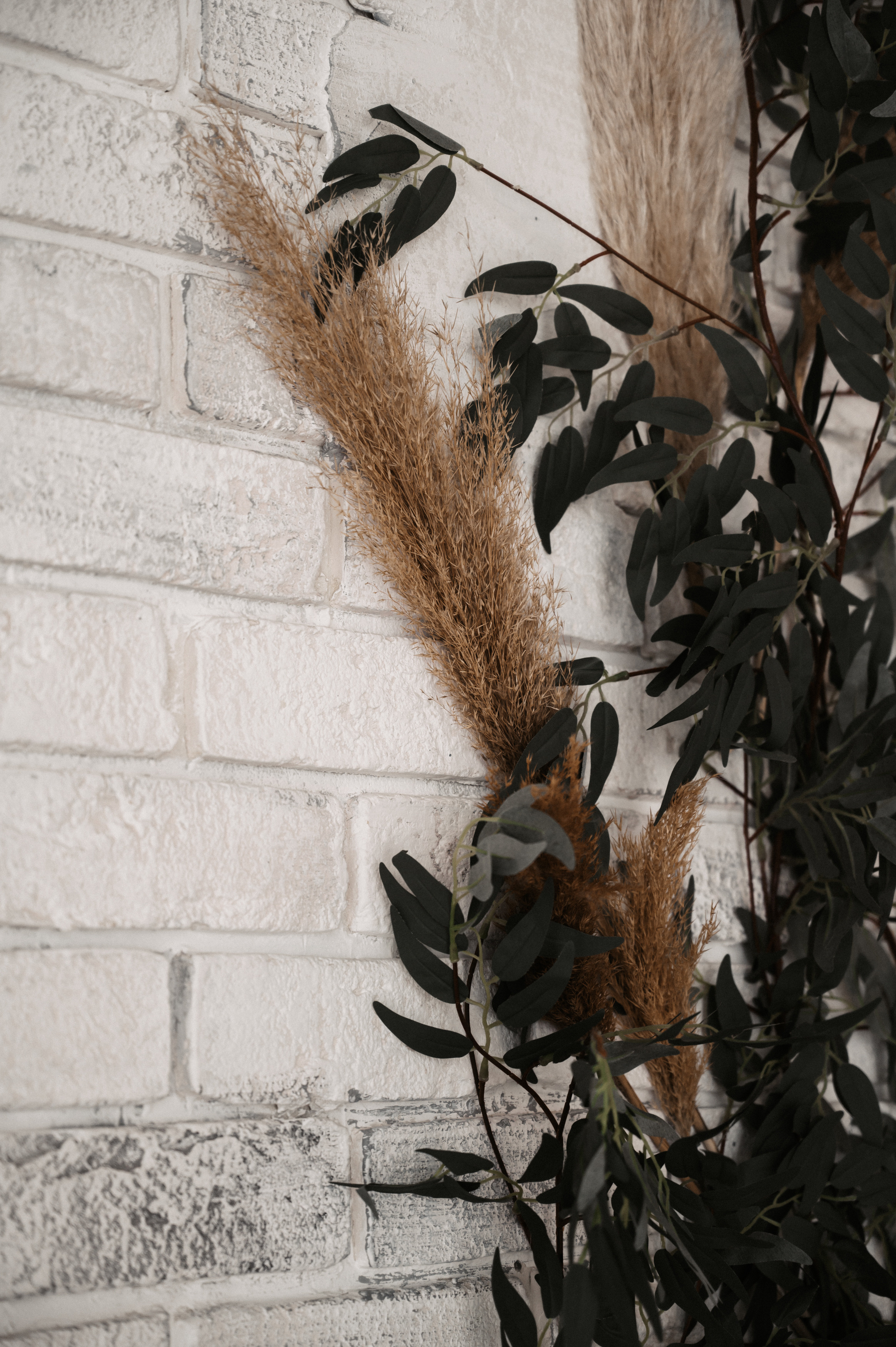 Егор и Лиза. Свадебный фотограф Александр Давыдов