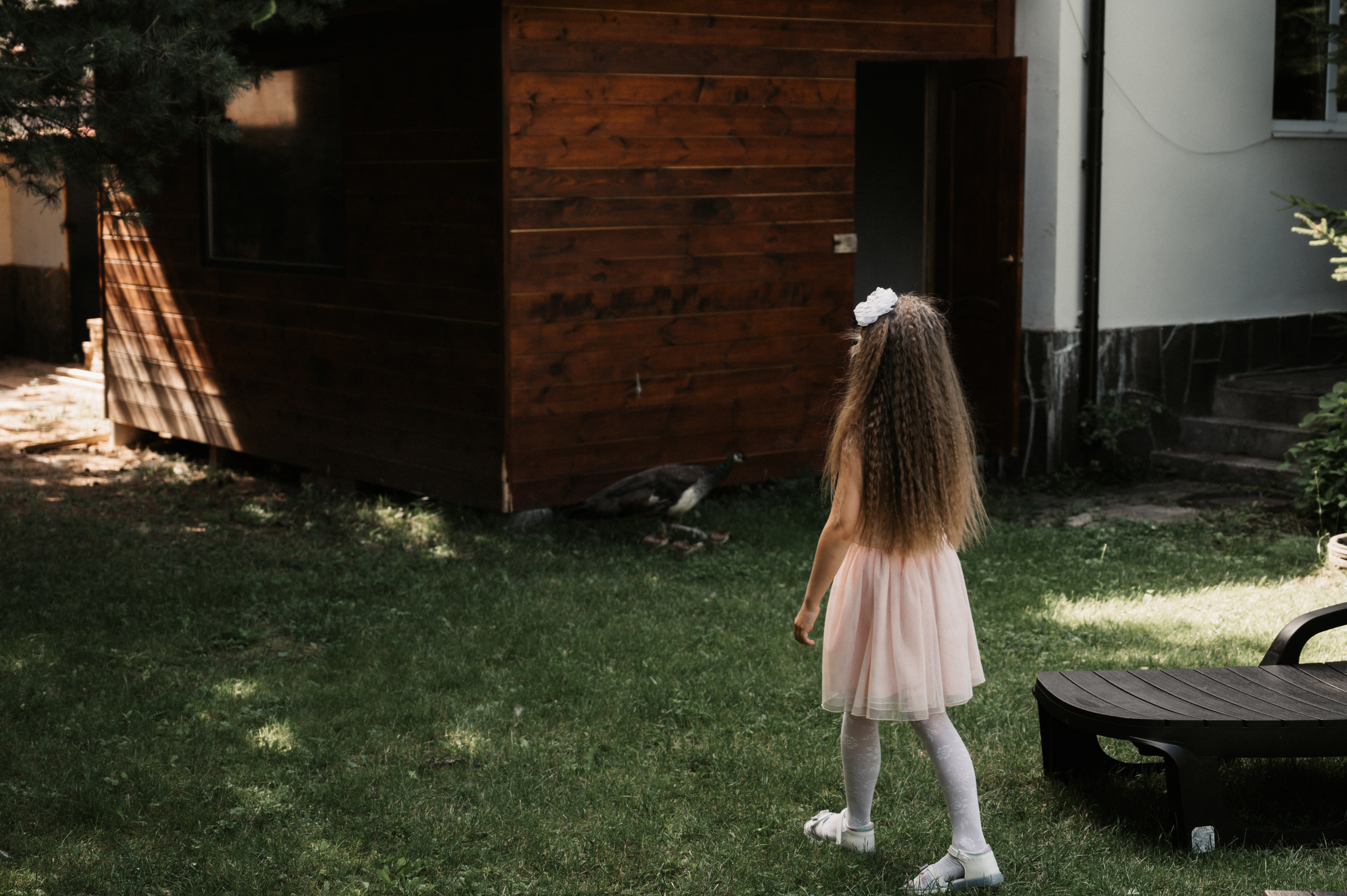 Счастливы и точка. Свадебный фотограф Александр Давыдов