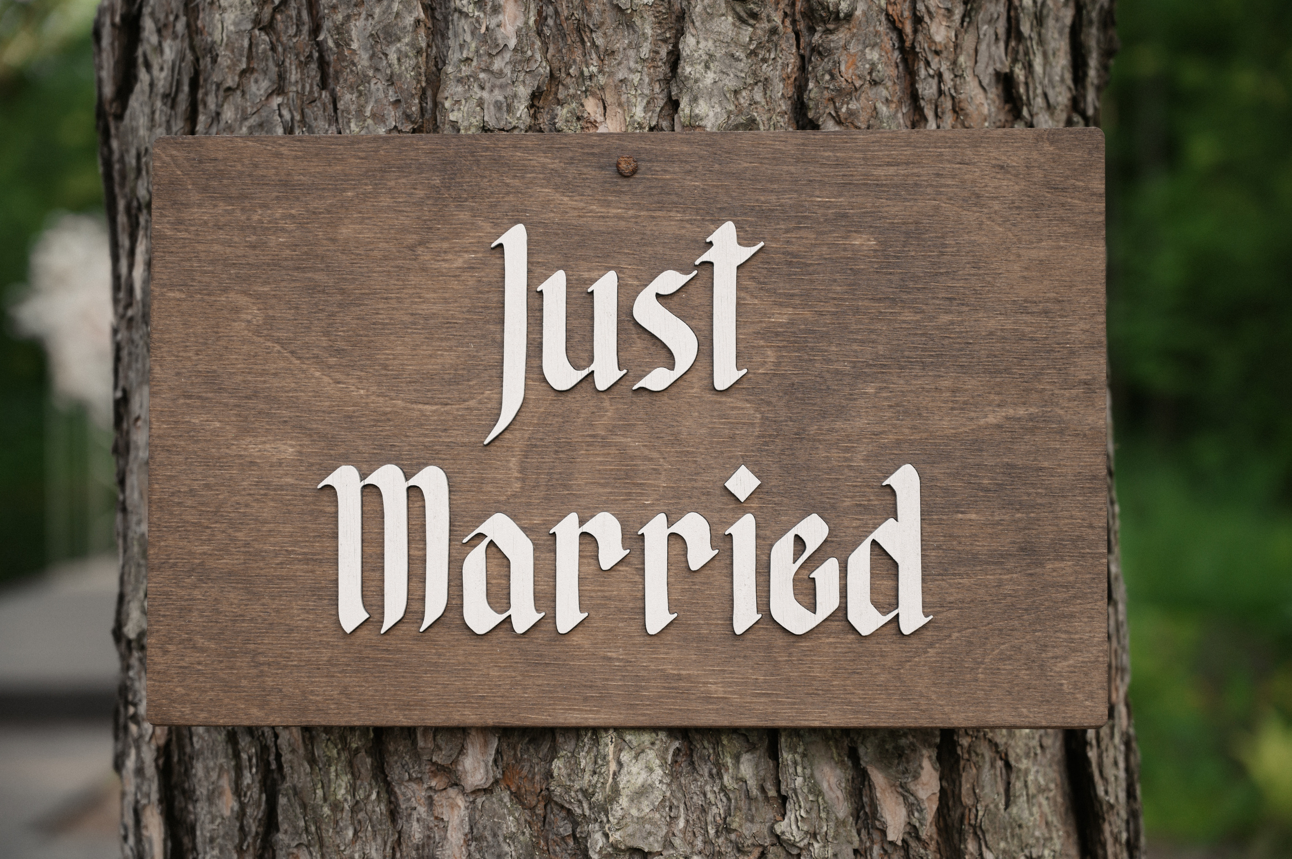 Егор и Лиза. Свадебный фотограф Александр Давыдов