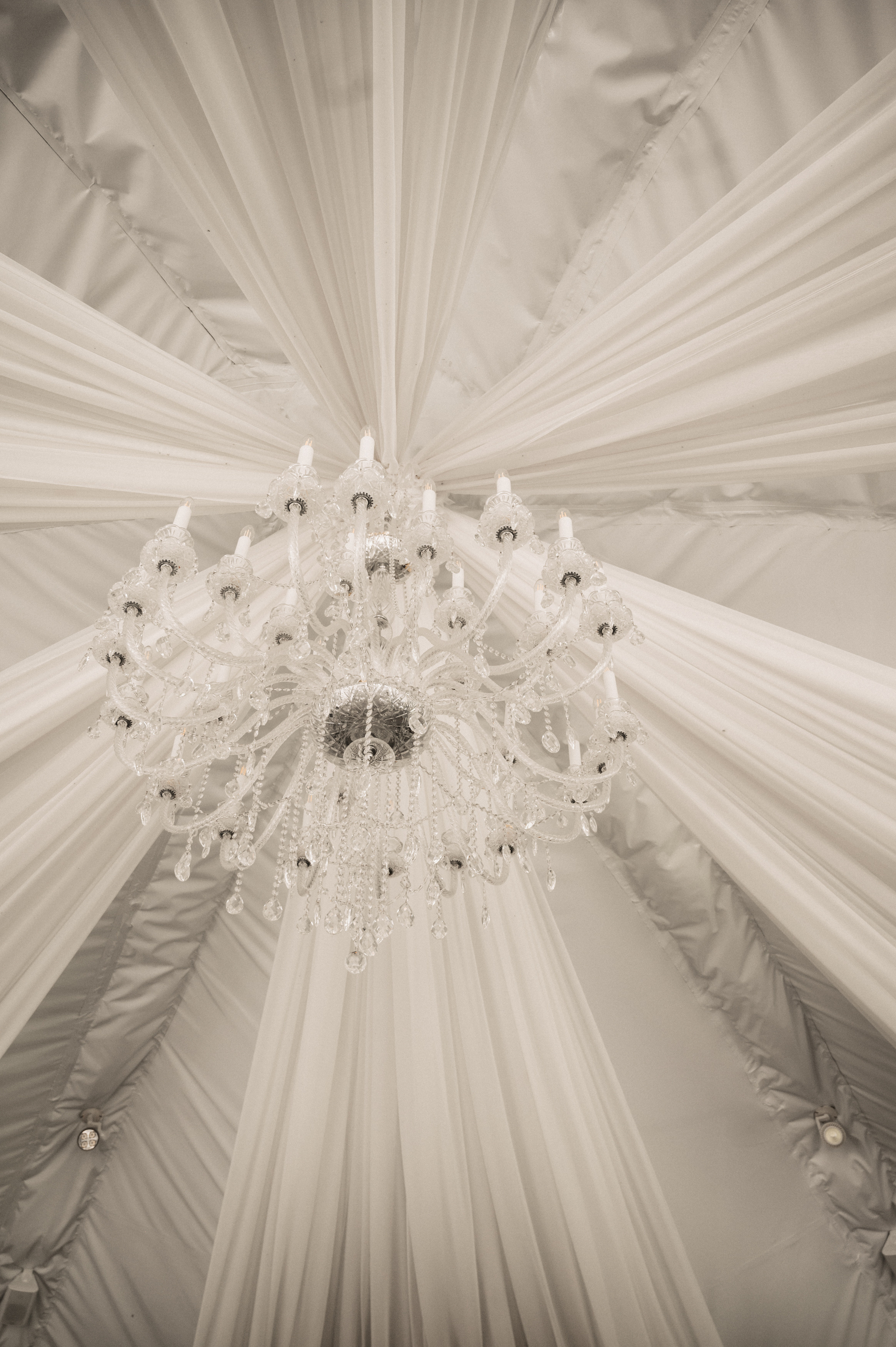 Счастливы и точка. Свадебный фотограф Александр Давыдов