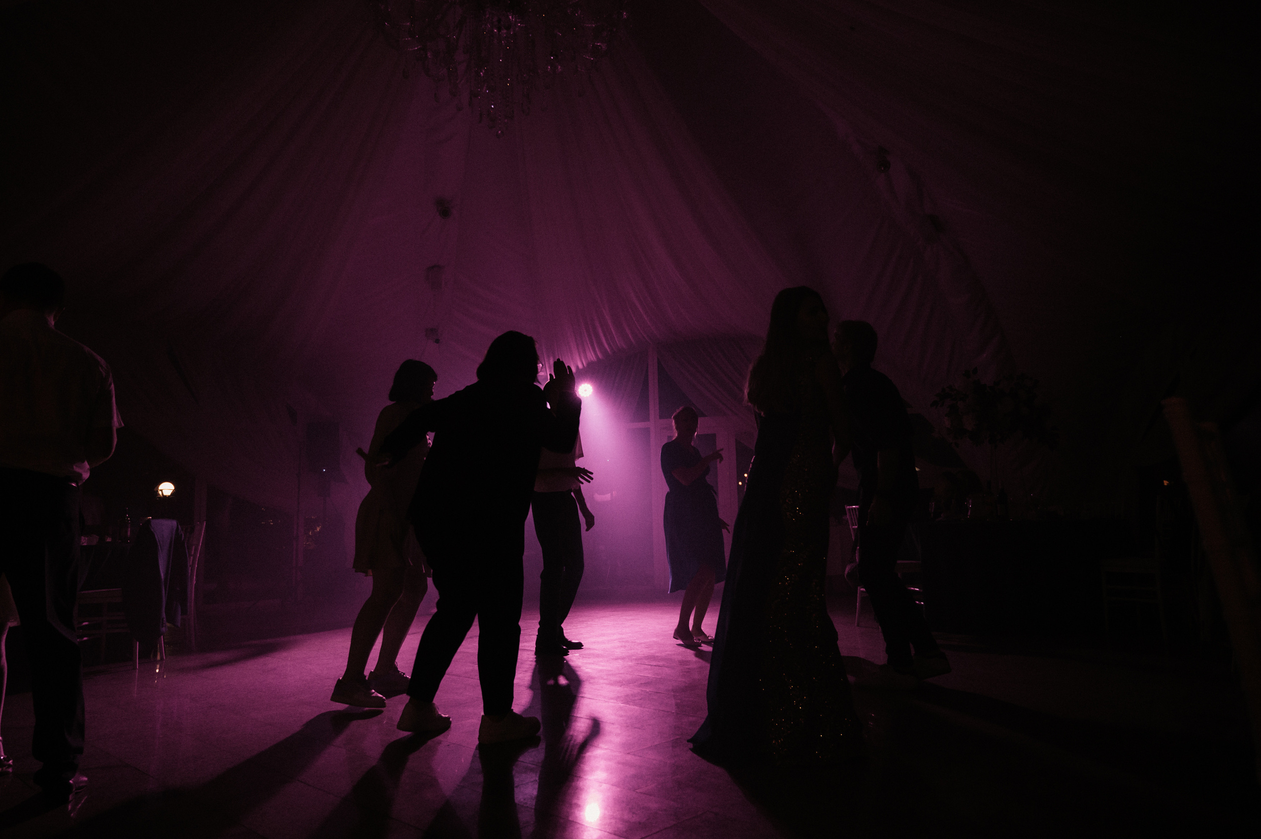 Счастливы и точка. Свадебный фотограф Александр Давыдов