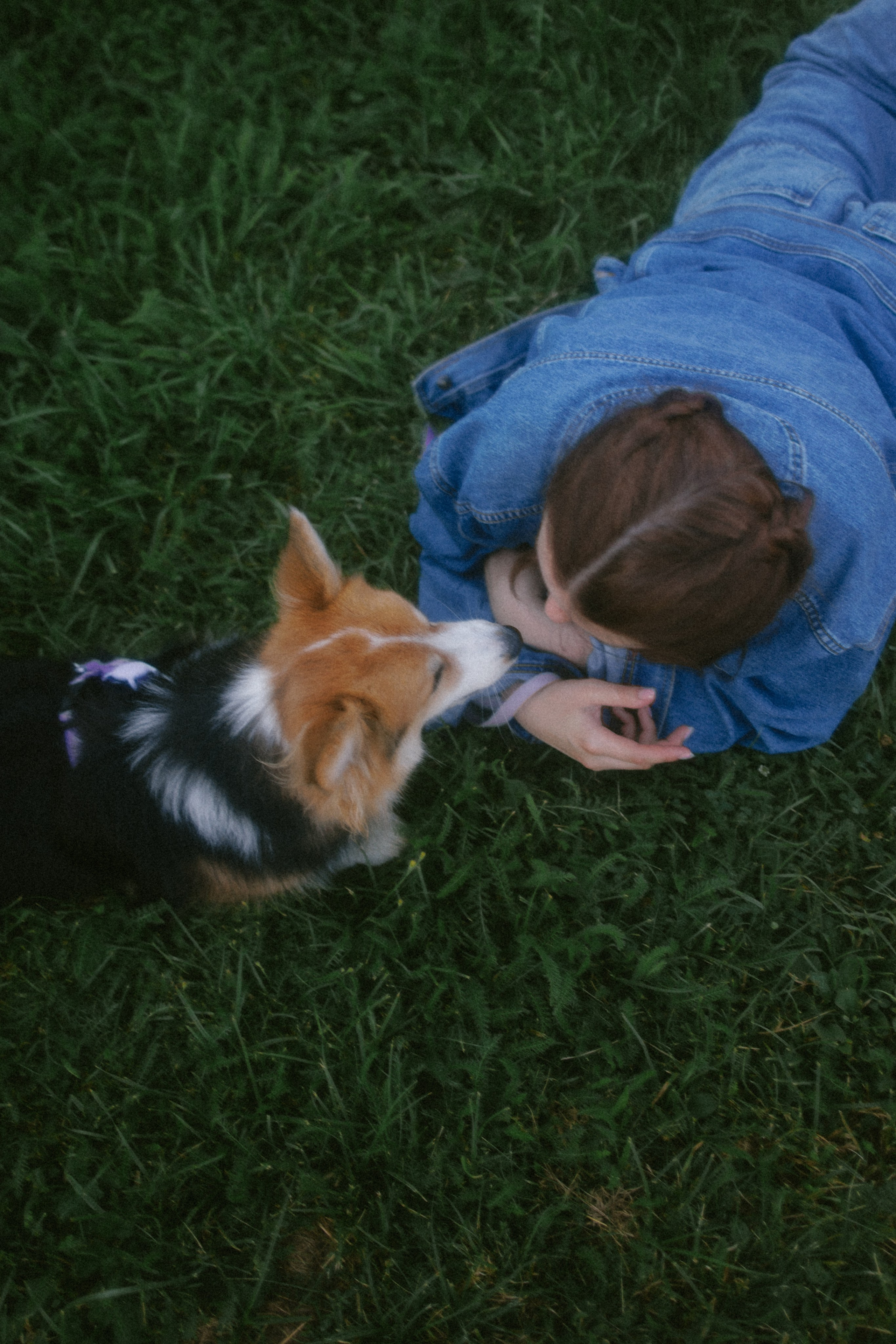 Мишель и Влада. Фотораф — анималист Мария Шистка