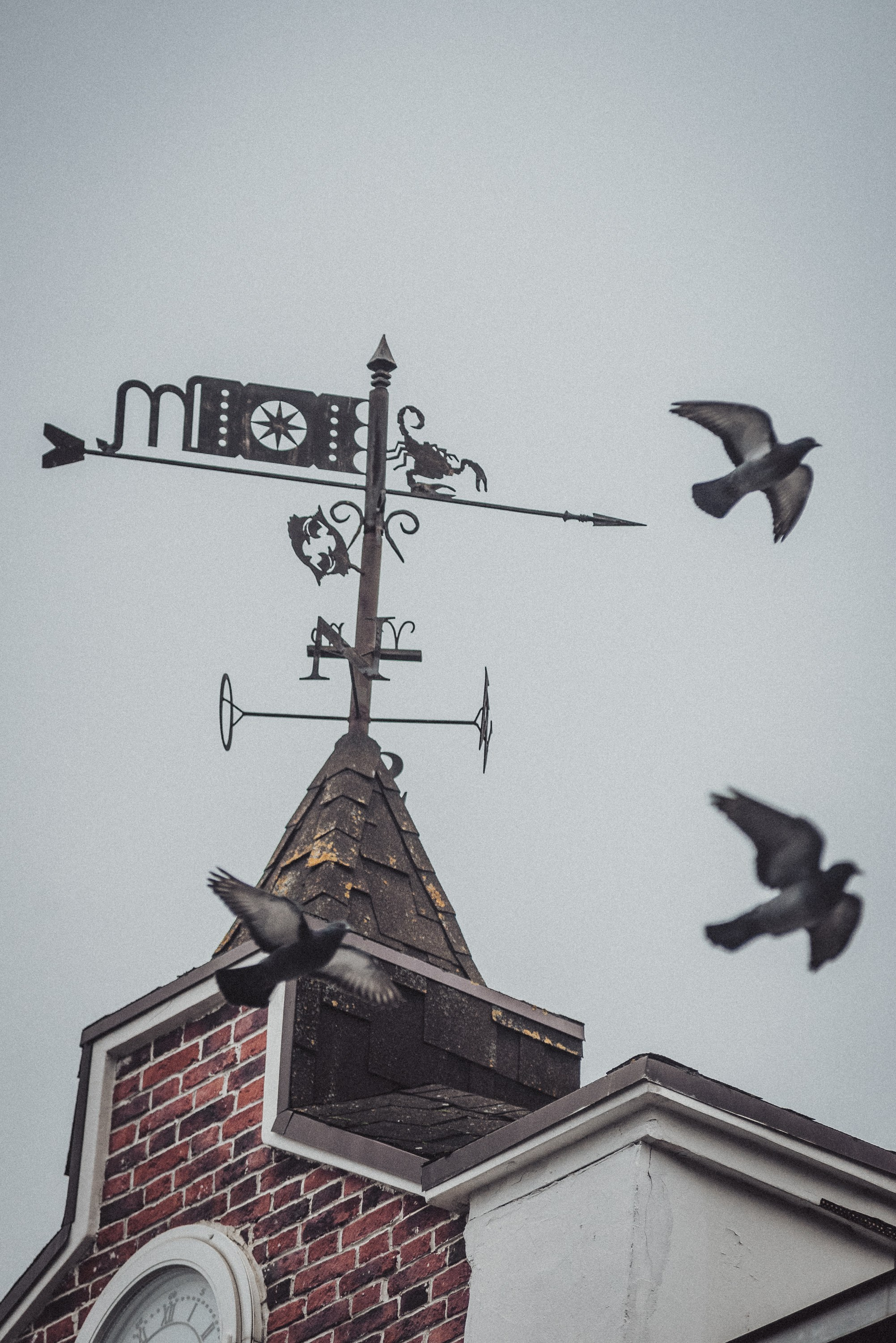 Проект #улицыгорода. Ярославль, улица Волкова. Документальный фотограф Илья Тихановский