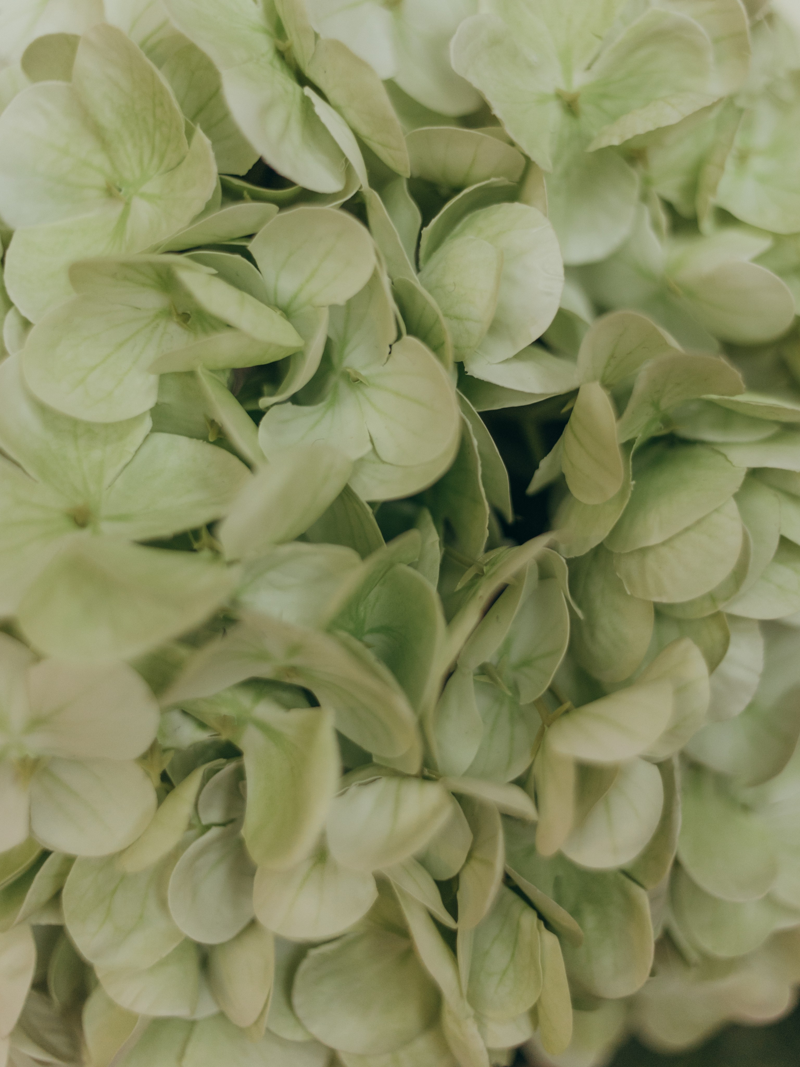 Мама и дочка. Фотограф в Краснодаре Евгения Михаевич