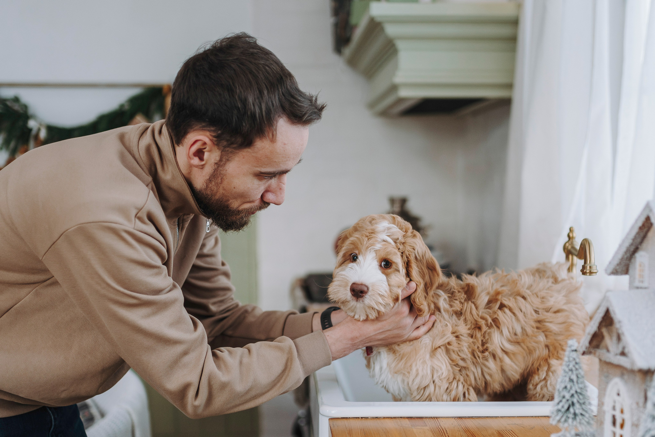 Мёрфи, Таня и Антон. Фотограф анималист в Спб недорого Олеся Майорова