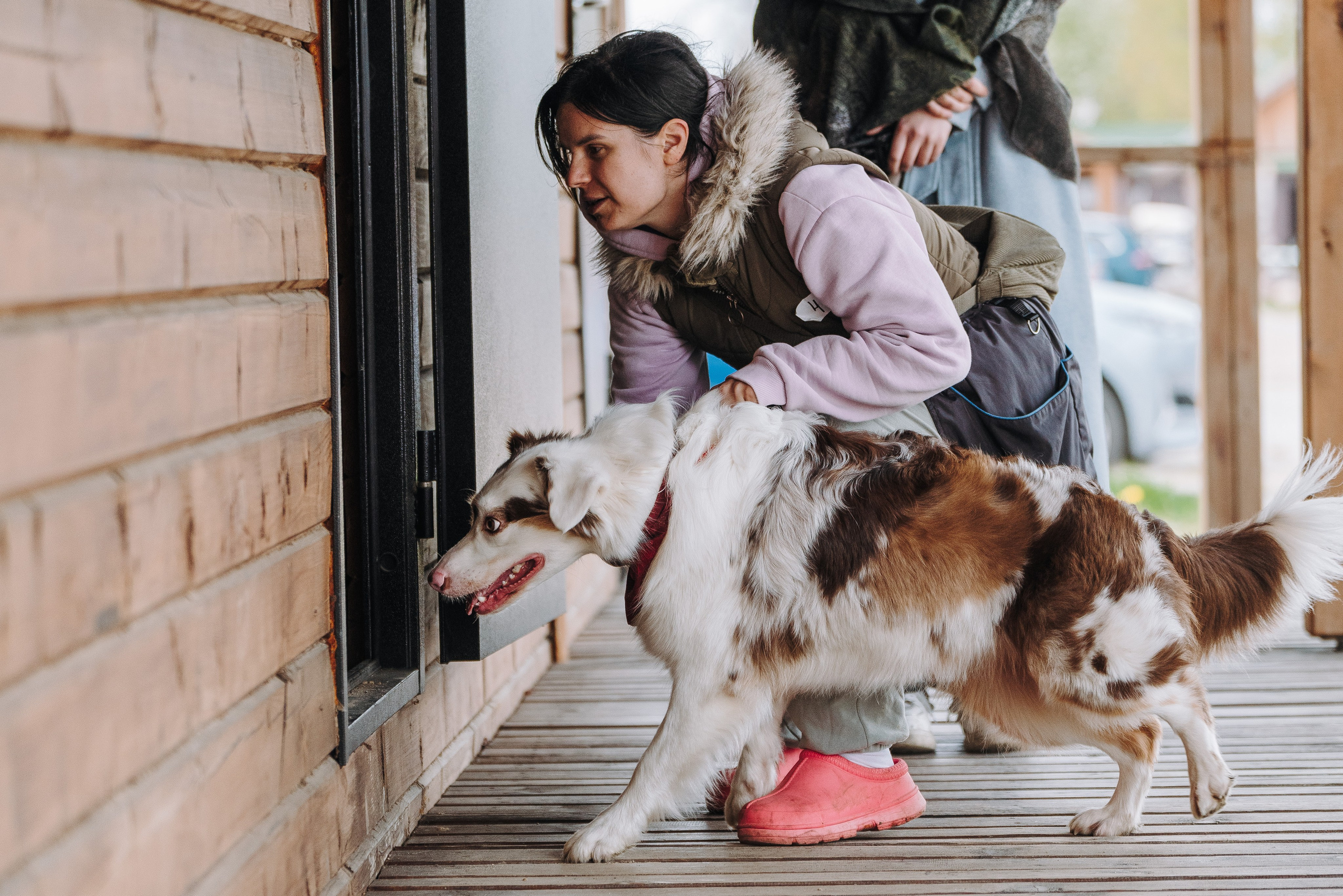 Соревнования по ноузворку в Лосево. Фотограф анималист в Спб недорого Олеся Майорова