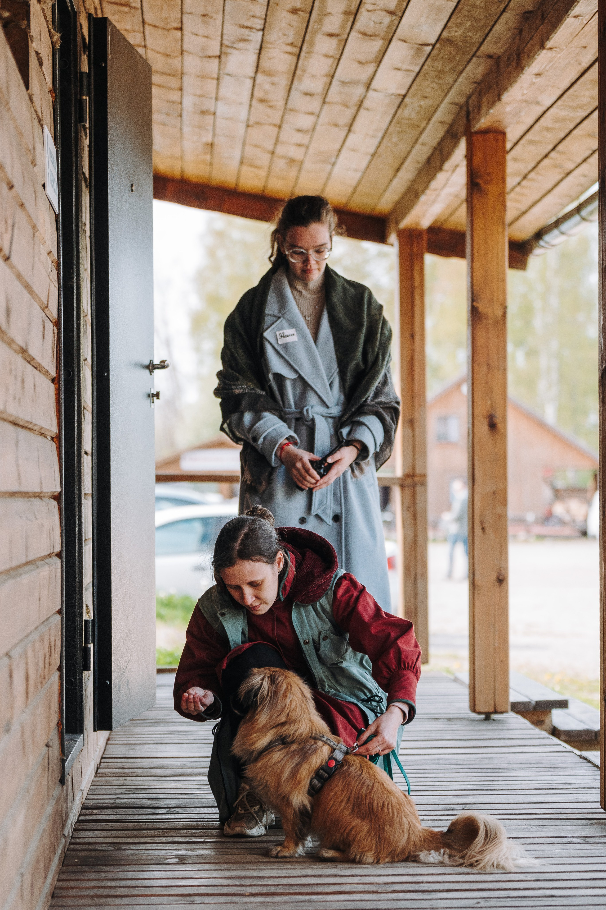 Соревнования по ноузворку в Лосево. Фотограф анималист в Спб недорого Олеся Майорова