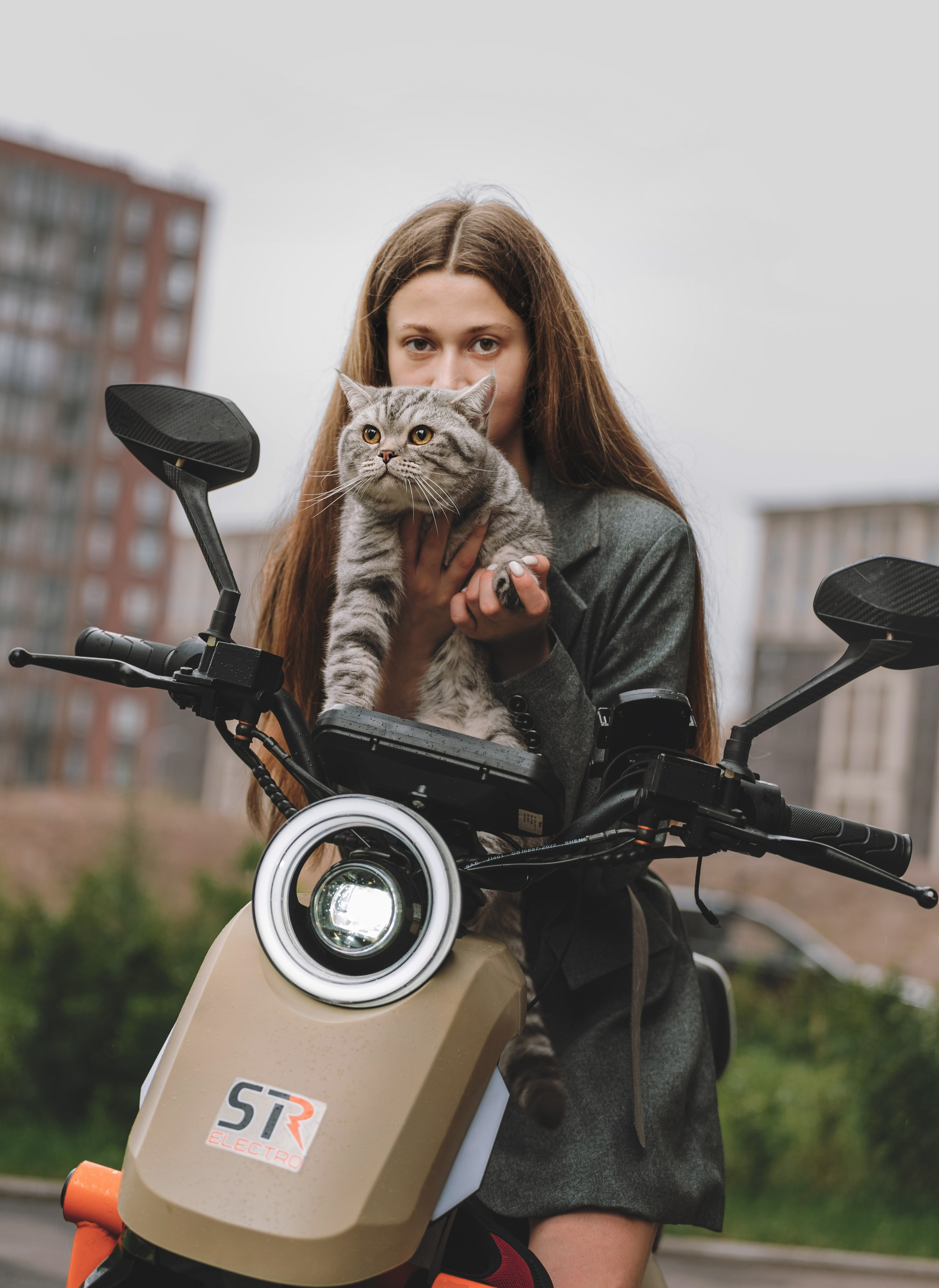 Портфолио кошки, фотограф Олеся Майрова. Фотограф анималист в Спб недорого Олеся Майорова