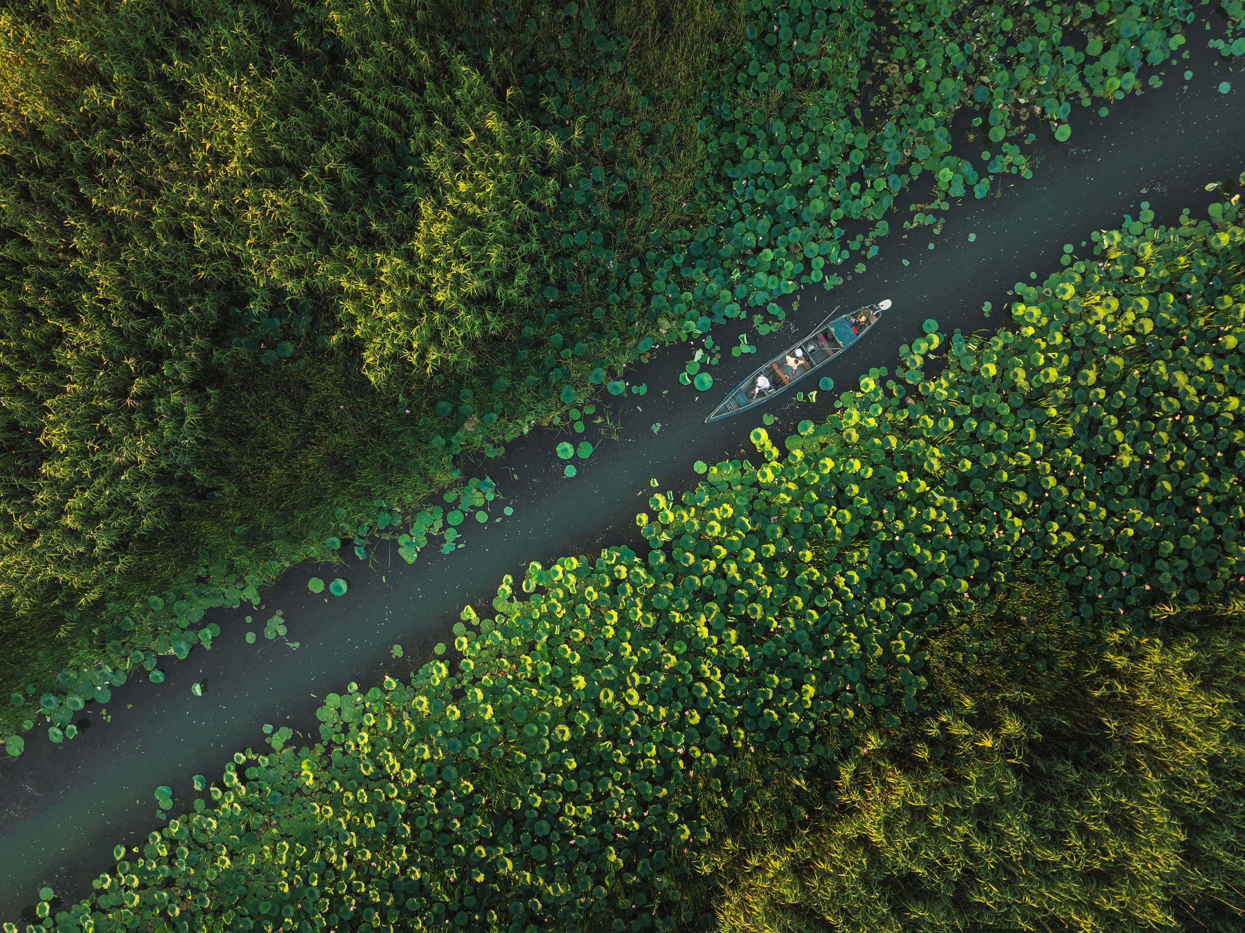 Астраханская область 2025 | Фотограф Дмитрий Купрацевич. Дмитрий Купрацевич профессиональный пейзажный и travel-фотограф