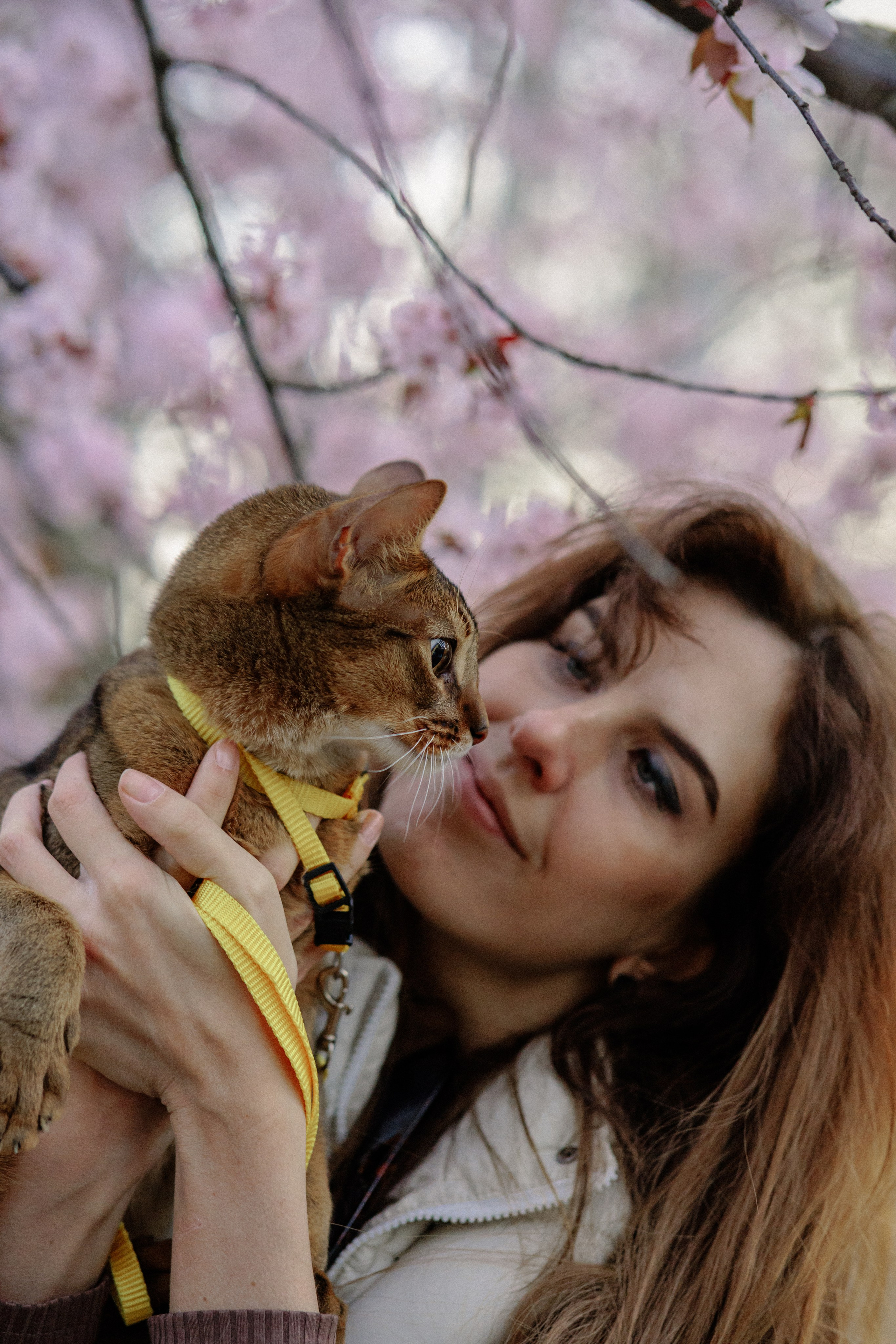 Екатерина и Персик. Фотограф в Санкт-Петербурге Алёна Губинская