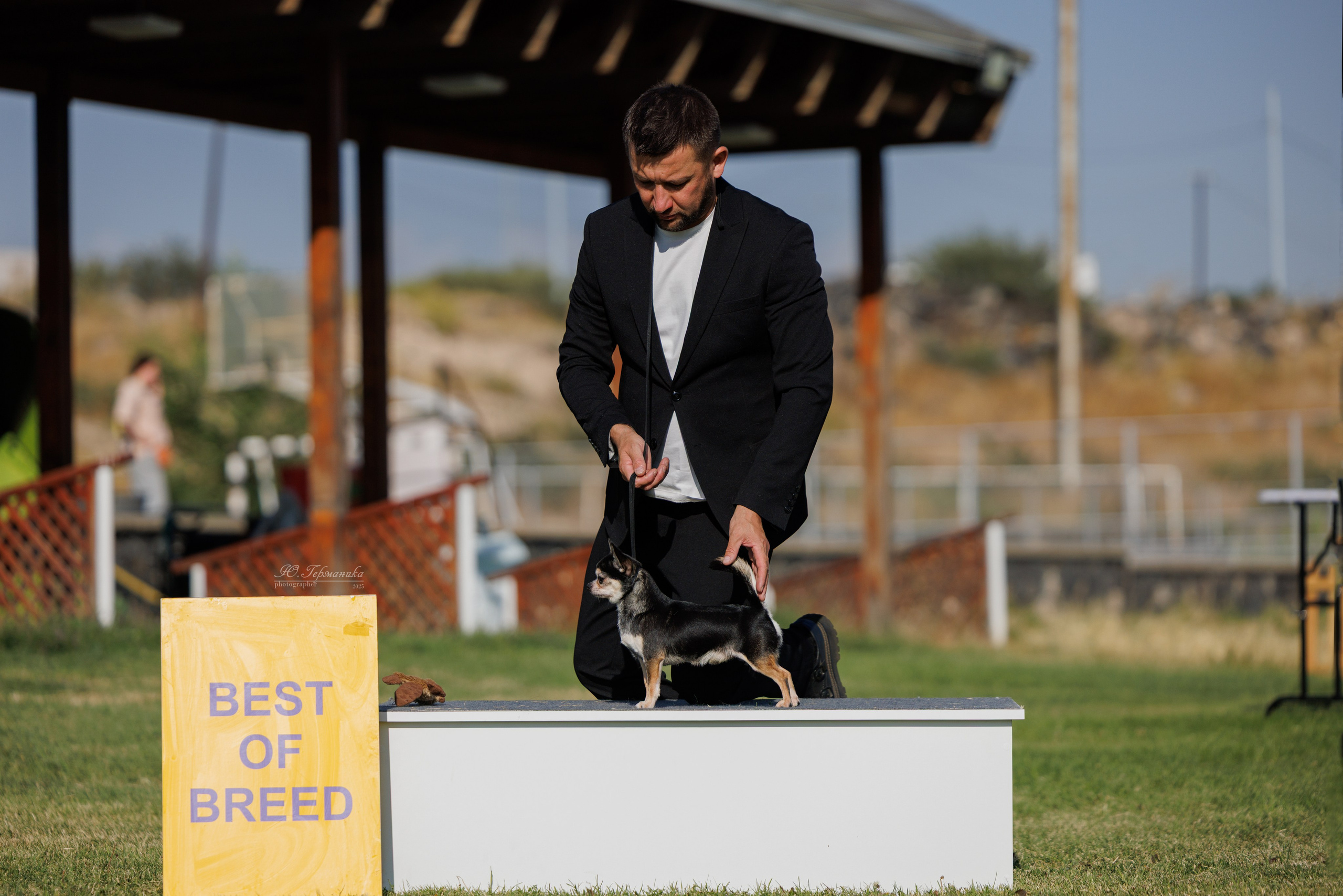 Ереван 3хCACIB 23-25.06.2025. Фотограф-анималист Юлия Германика