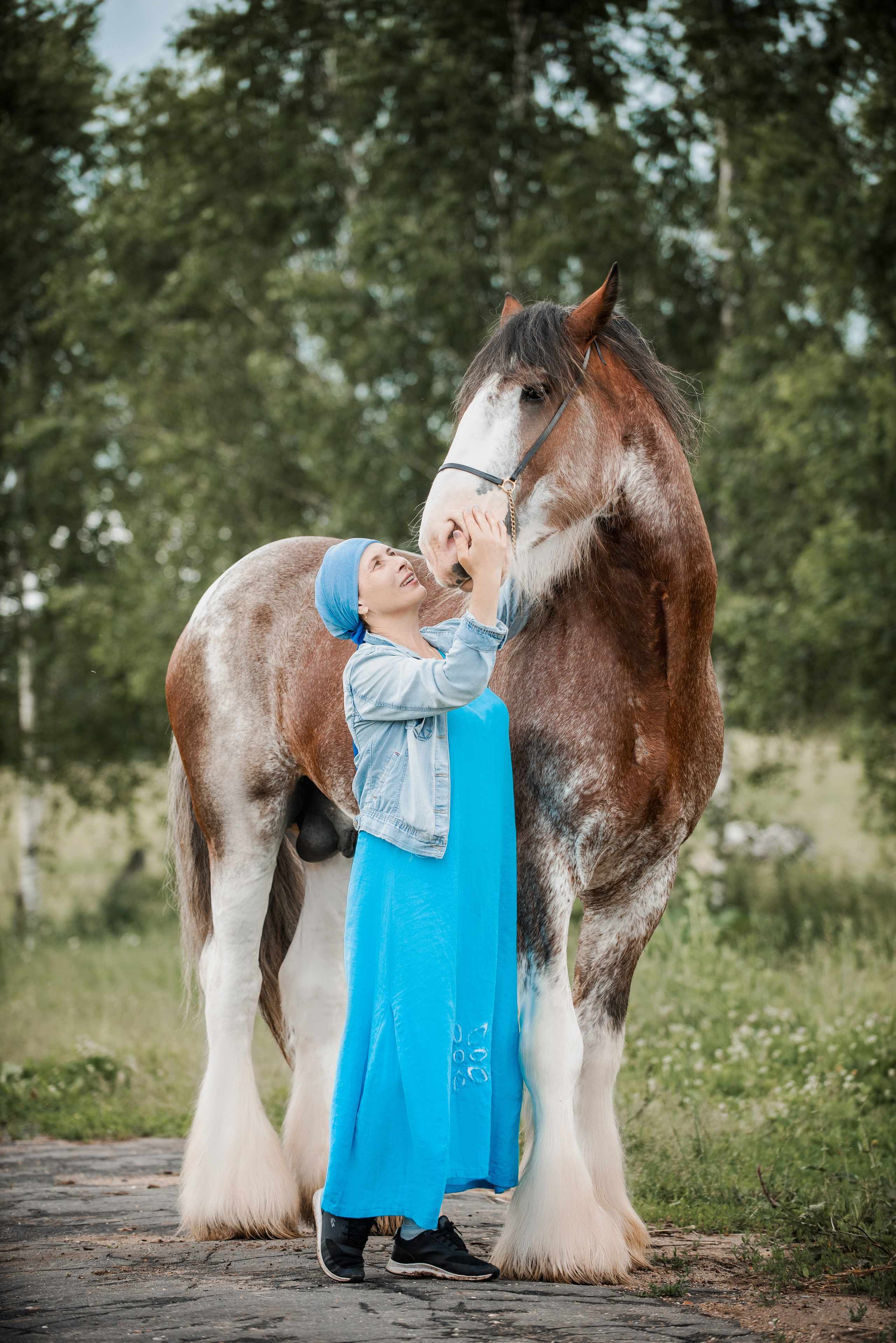 KOMARDINS. Конный фотограф Куракина Дарья • Фотосессии с лошадьми
