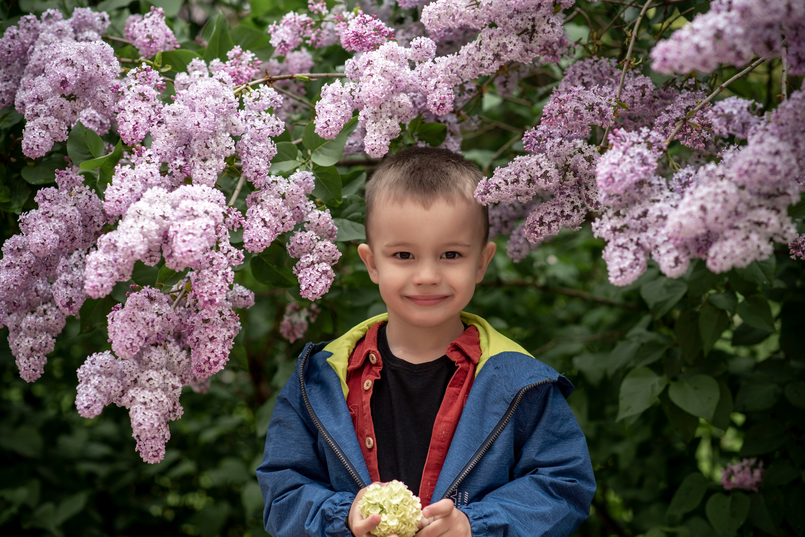Фотосессии в цветении. Свадебный и семейный фотограф Полина Малюкова Москва, Химки, Зеленоград