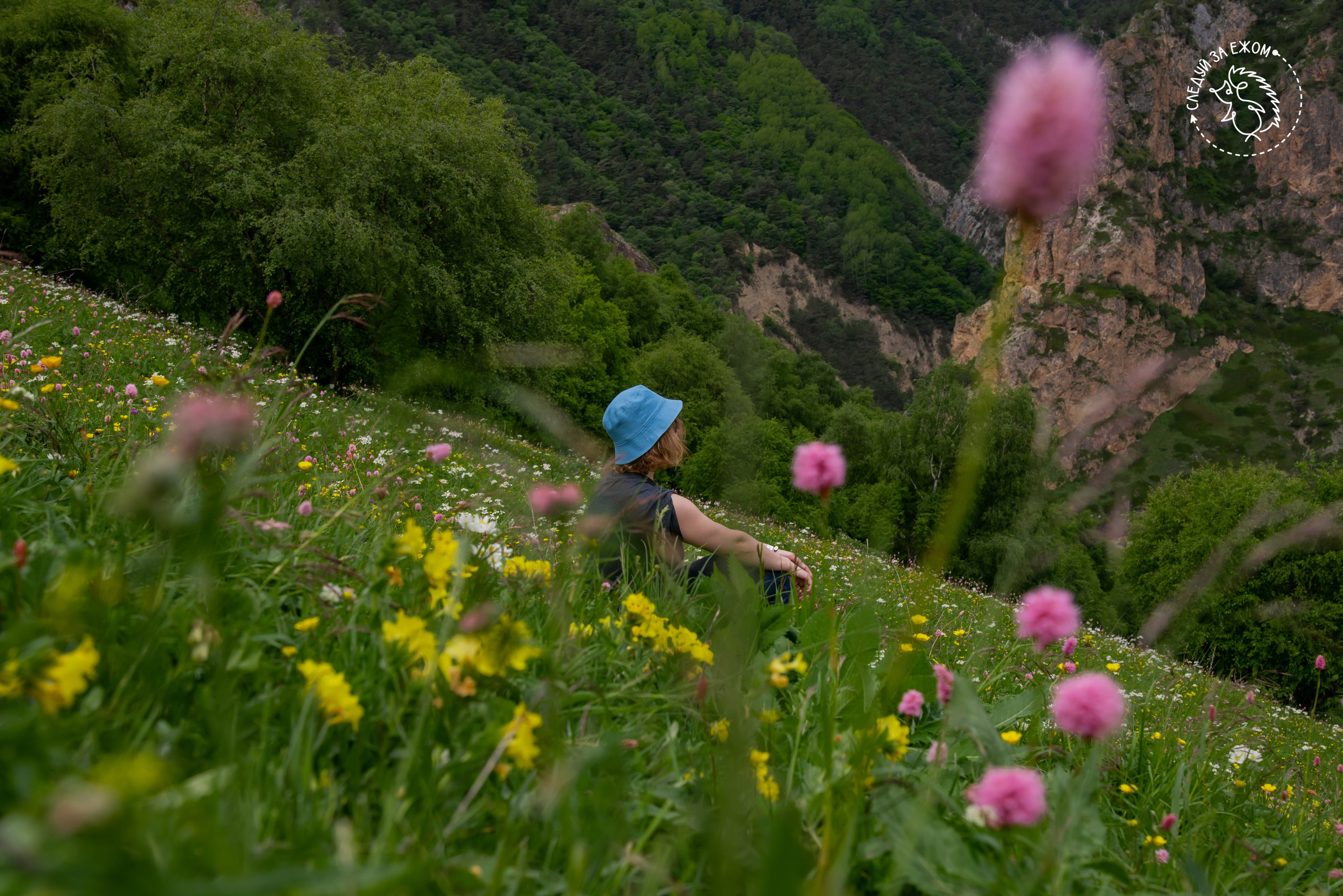 Тур в Чегем. Фотограф Галина Нестерова