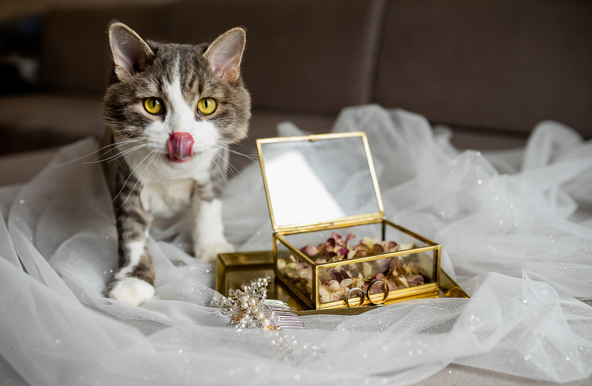 Свадебное портфолио фотографа в Нижнем Новгороде Фомина Андрея. Свадебный, репортажный фотограф Фомин Андрей в Нижнем Новгрооде