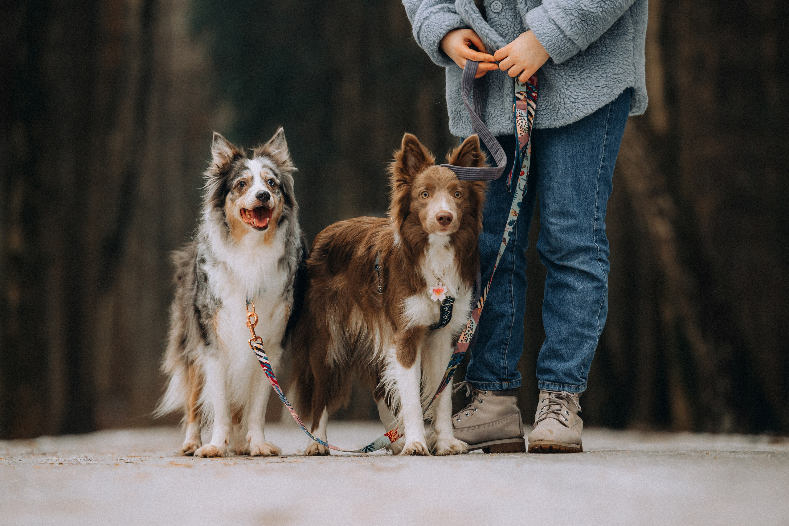 Полина, Милли и Паддингтон