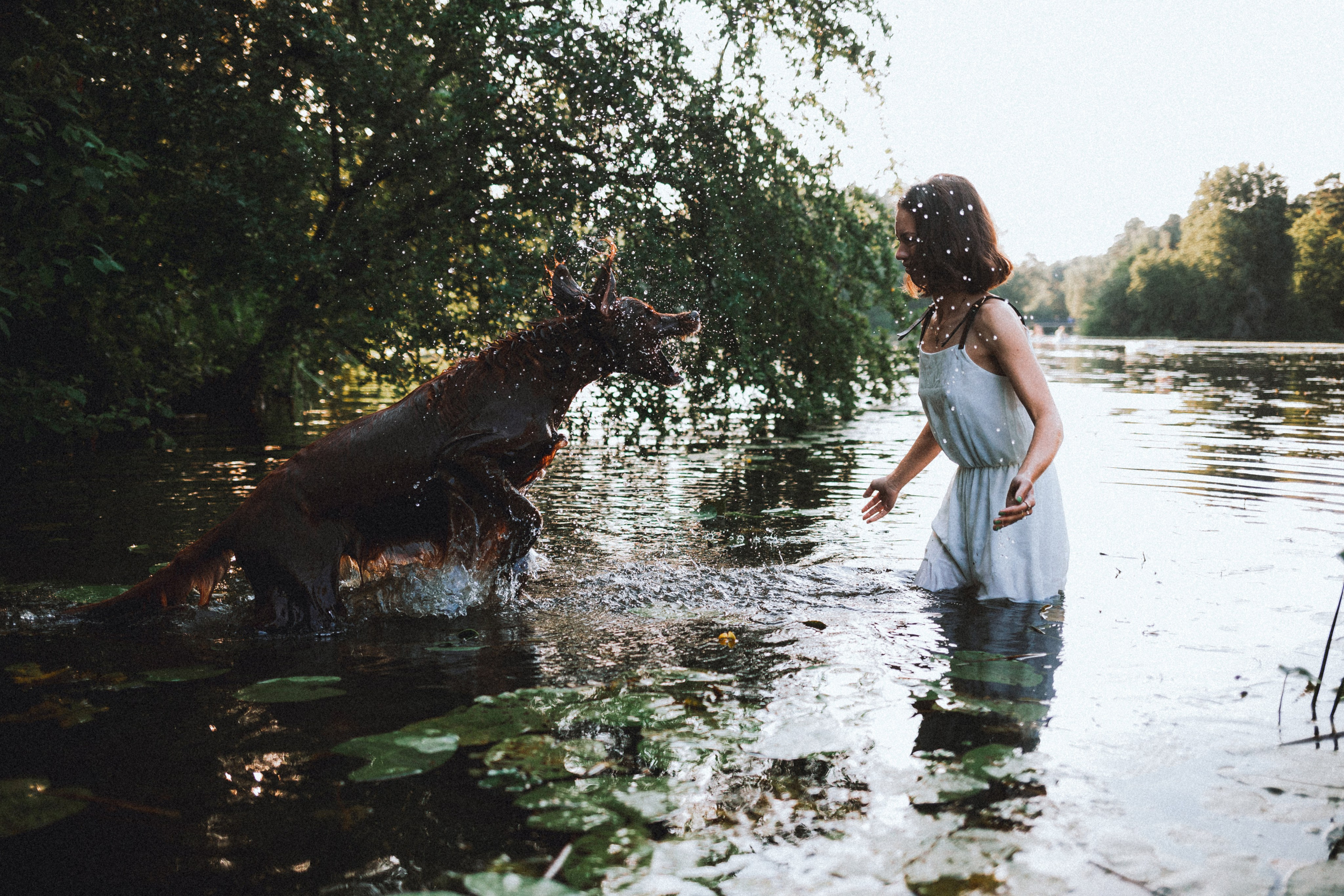 Маша и Джерри