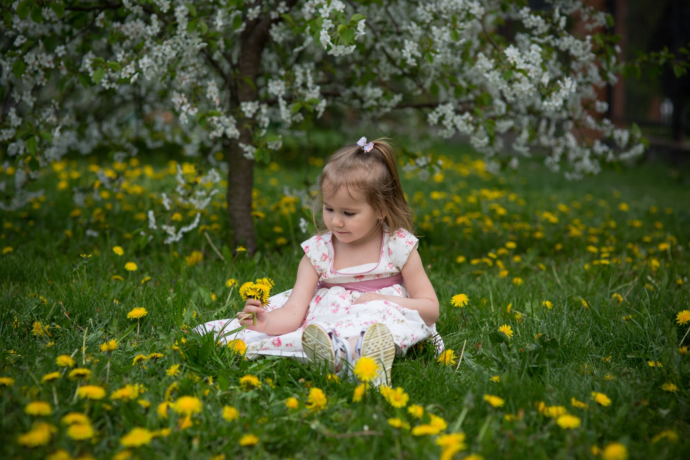Цветущие сады. Свадебная фотосъёмка в Москве, Туле