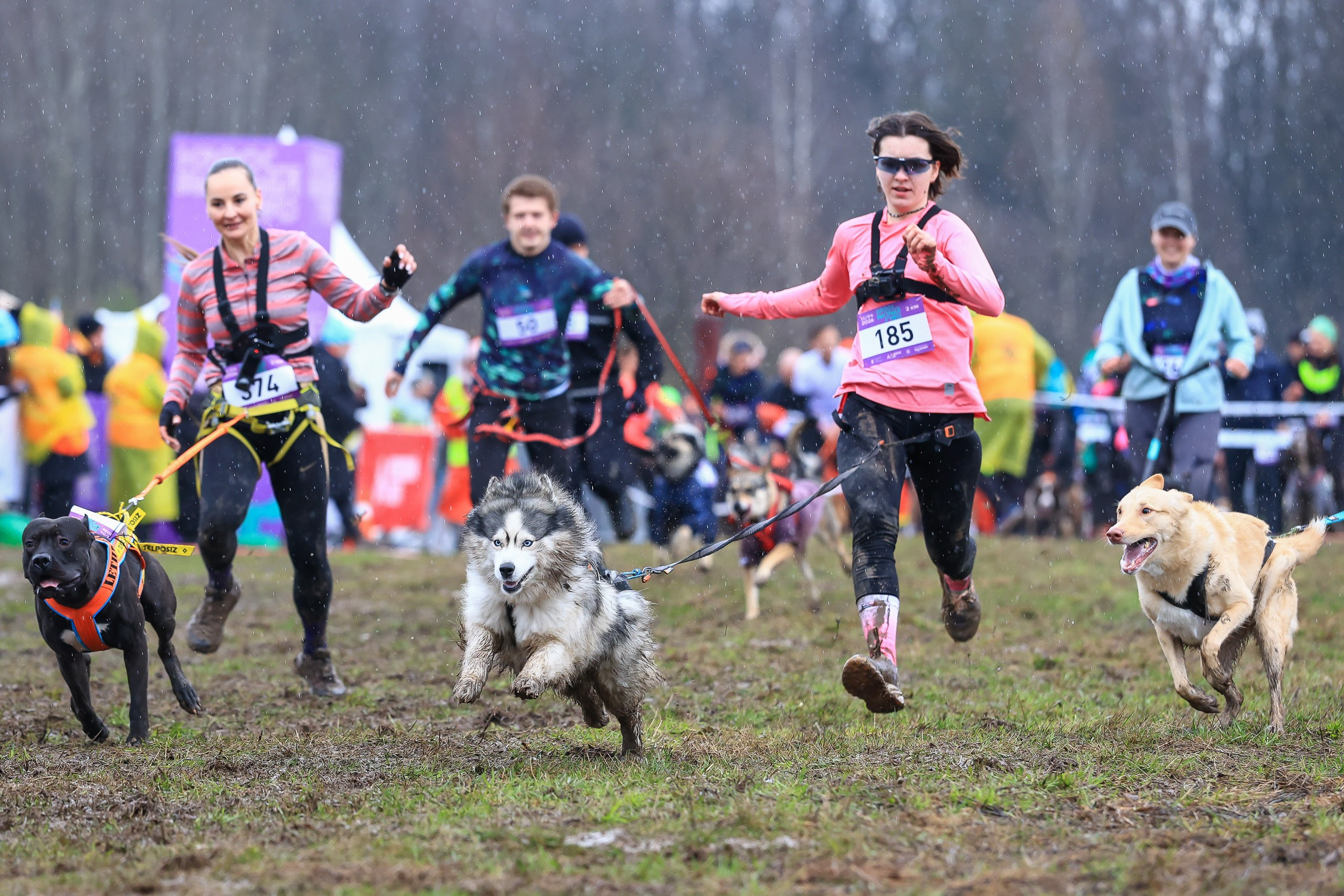 Быстрый Пёс!. Свадебная фотосъёмка в Москве, Туле