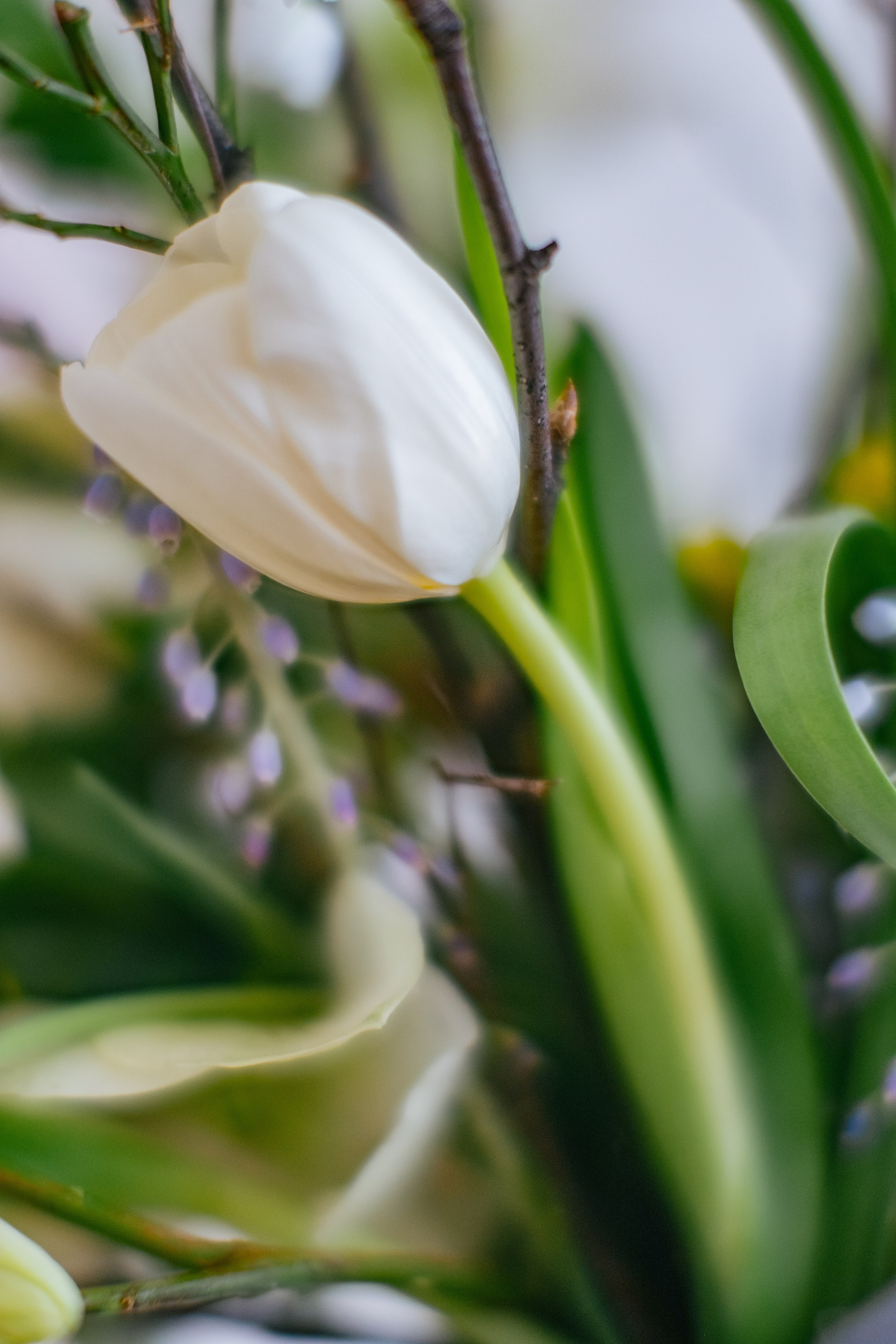 Айк и Юлия. Свадебный Видеограф Фотограф в Сочи