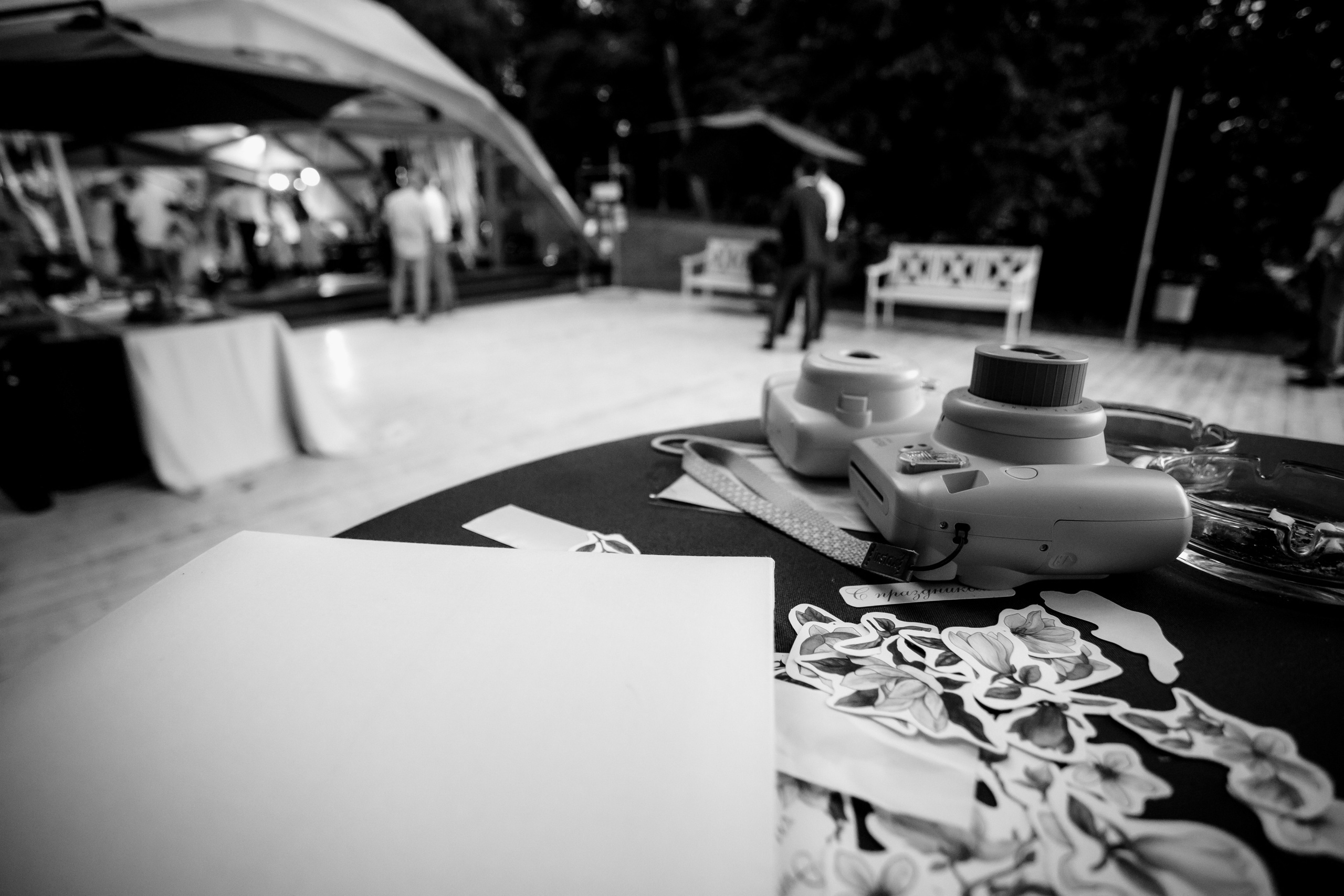 Свадебная вечеринка Алексея и Нади. Свадебный фотограф Марина Назарова Москва