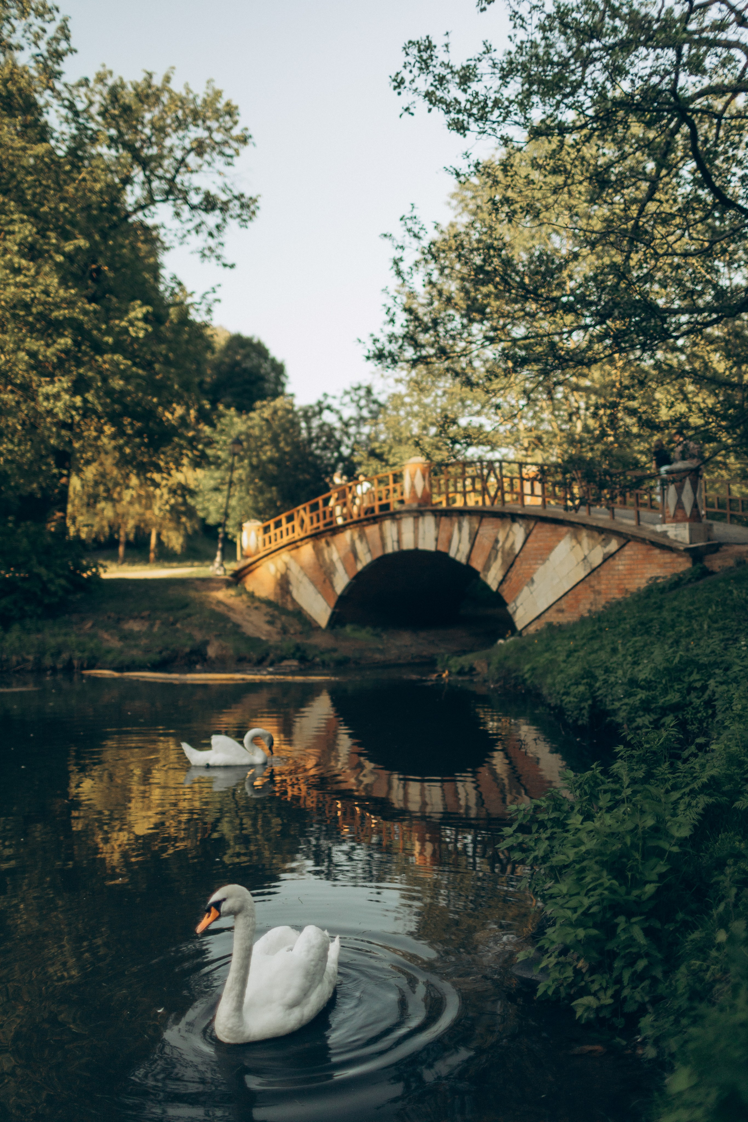 Анастасия. «Лесная нимфа». Семейный фотограф в Москве Валерия Карпова