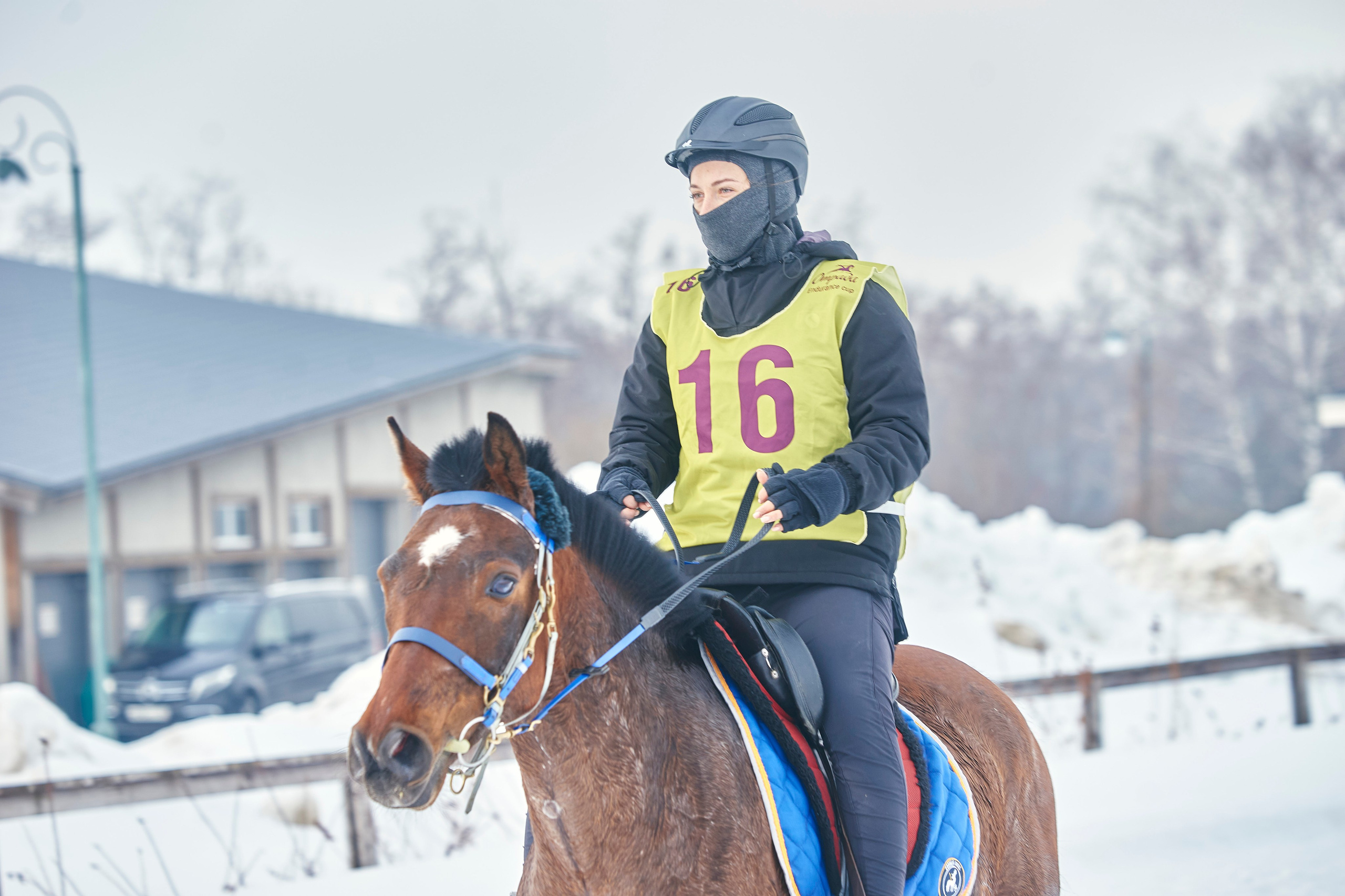 HORSE RACING. Фотограф Наталья Леонова
