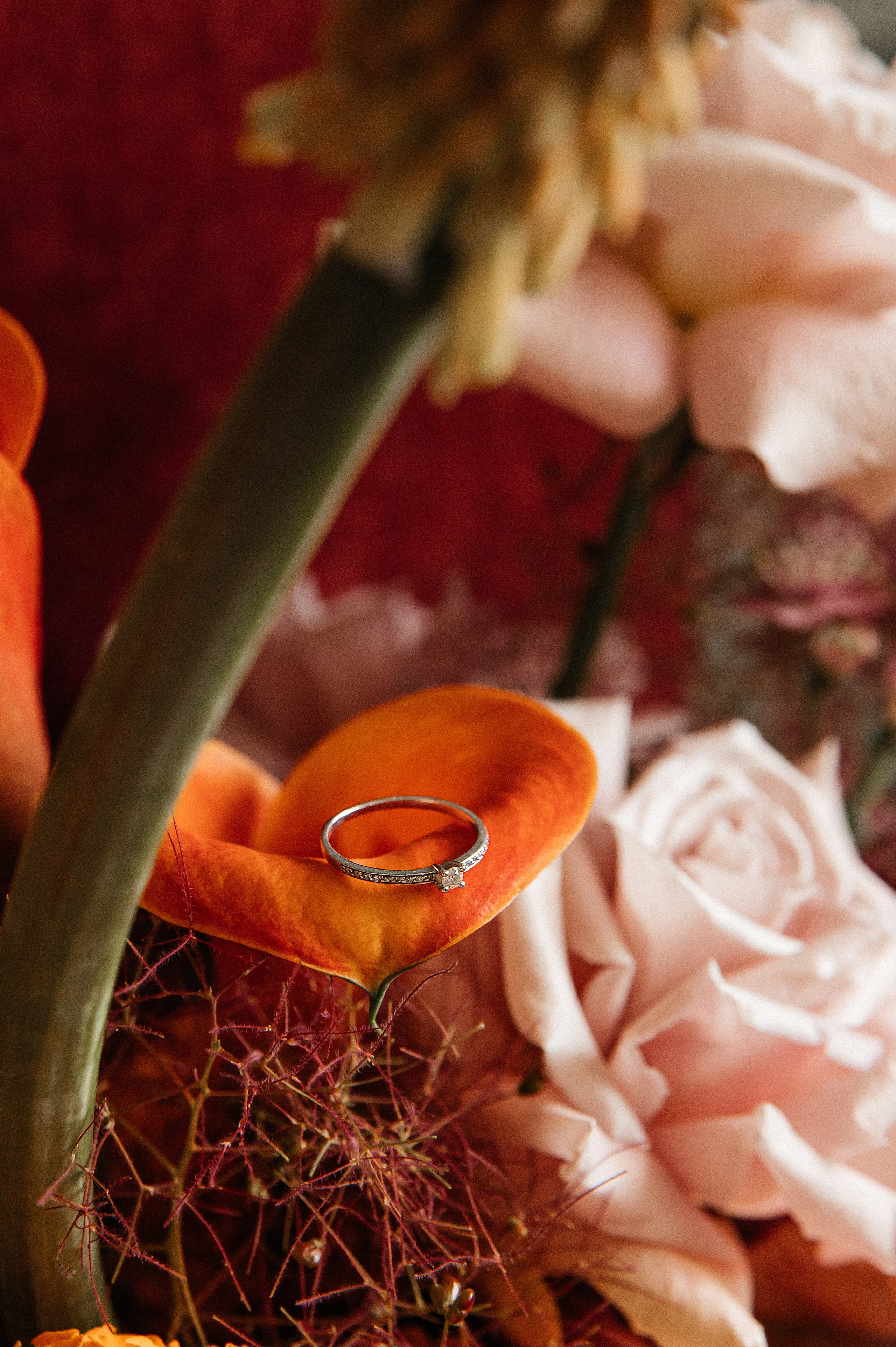 WEDDING. Мария — Свадебный фотограф