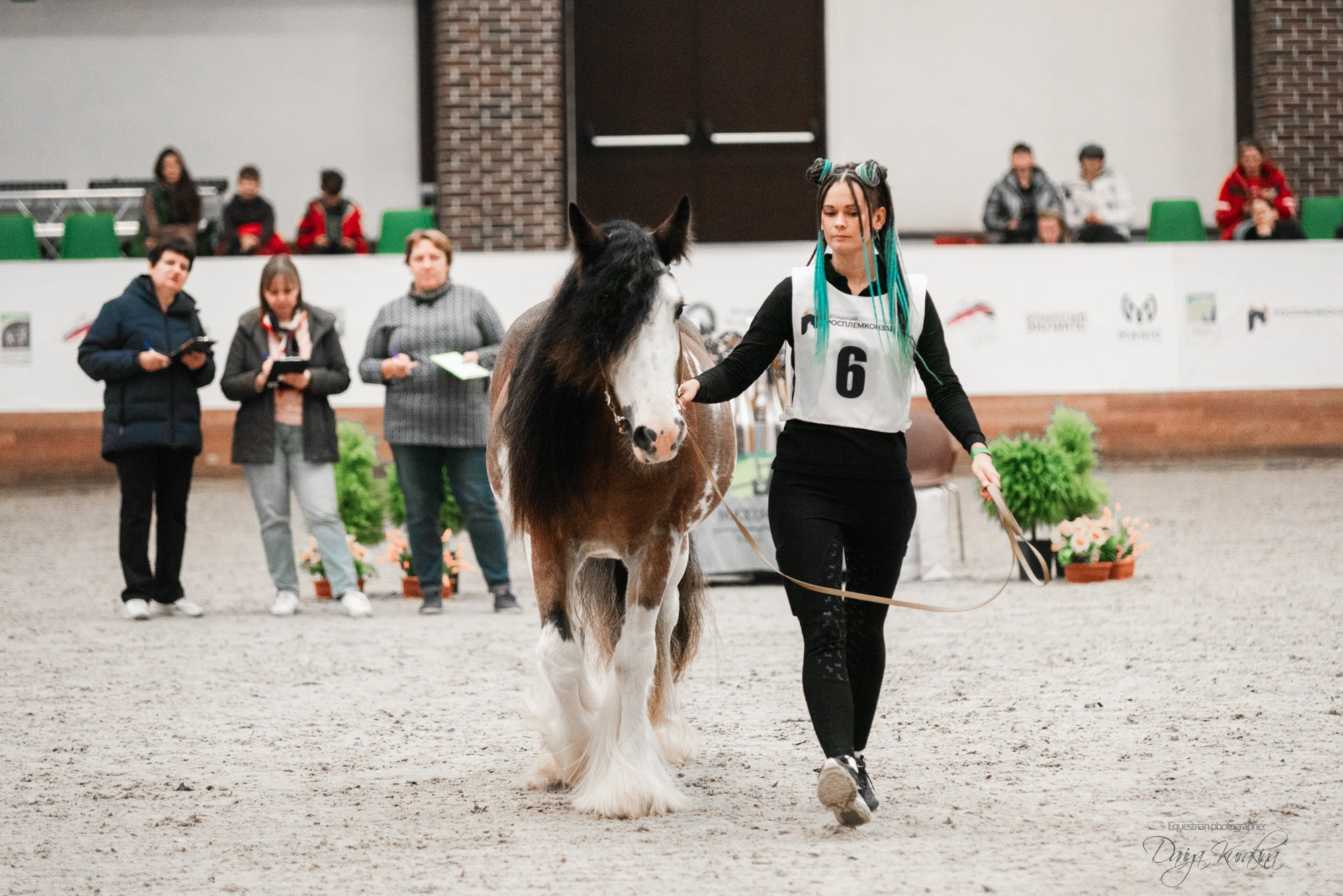 8-я международная выставка Конная Россия. Конный фотограф Куракина Дарья • Фотосессии с лошадьми