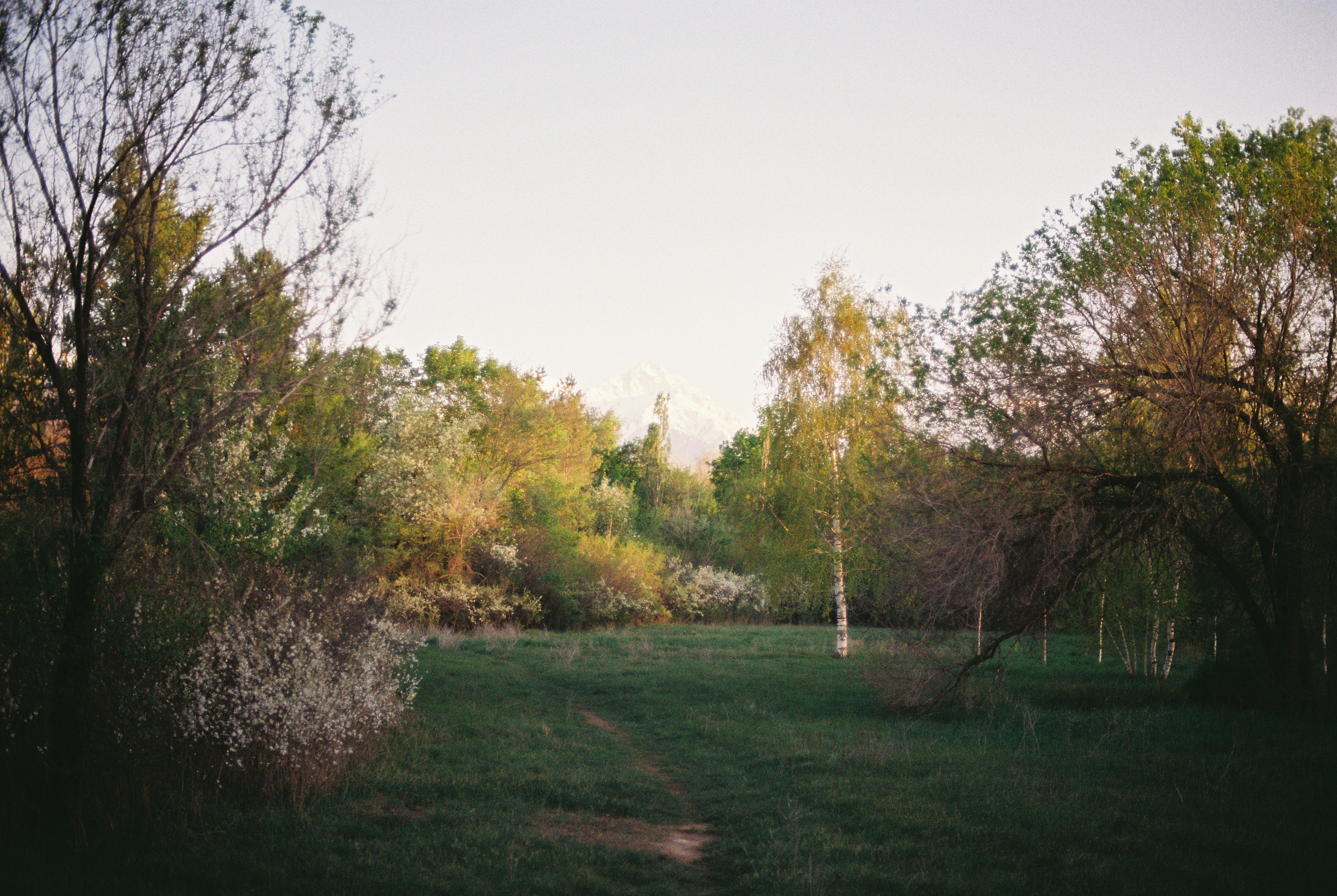 Ботанический сад, апрель 2026. Репортажный и портретный фотограф в Алматы — Дарья Фёдорова