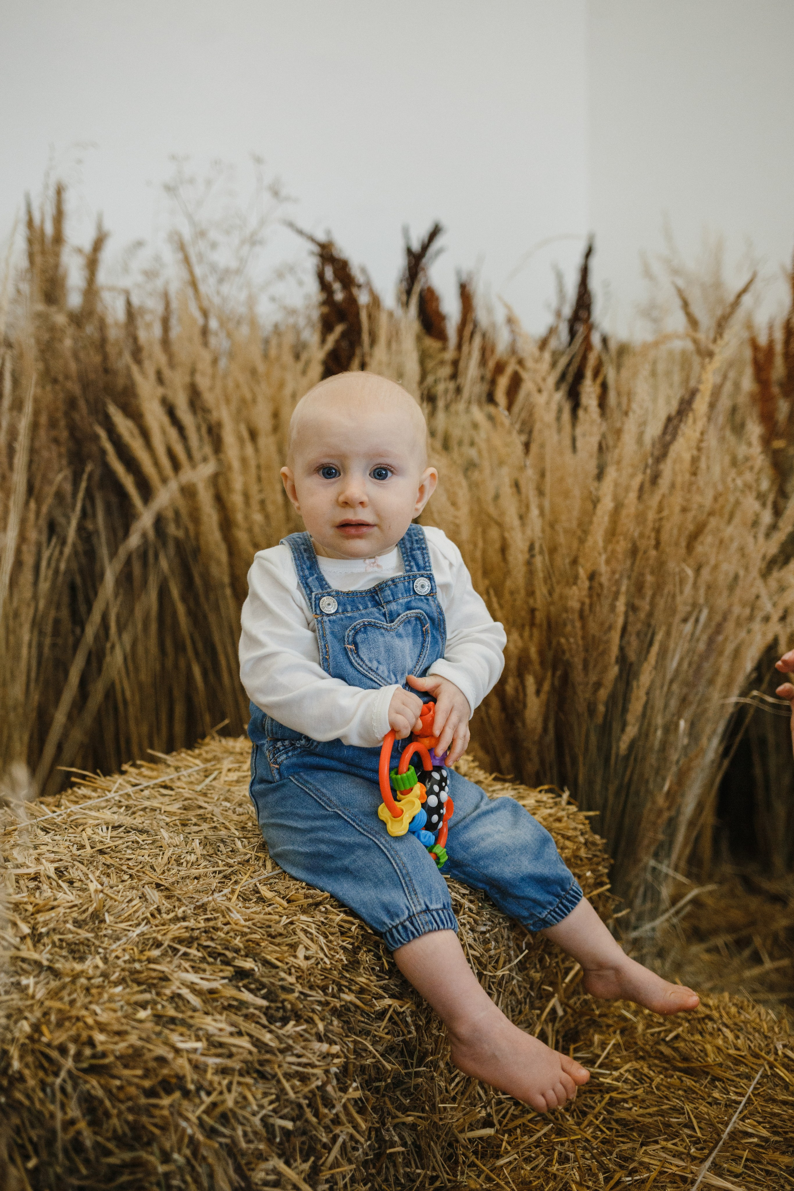 Никита, Карина, Николь, Дэниэл, Эмили. Семейный фотограф Николаева Ольга