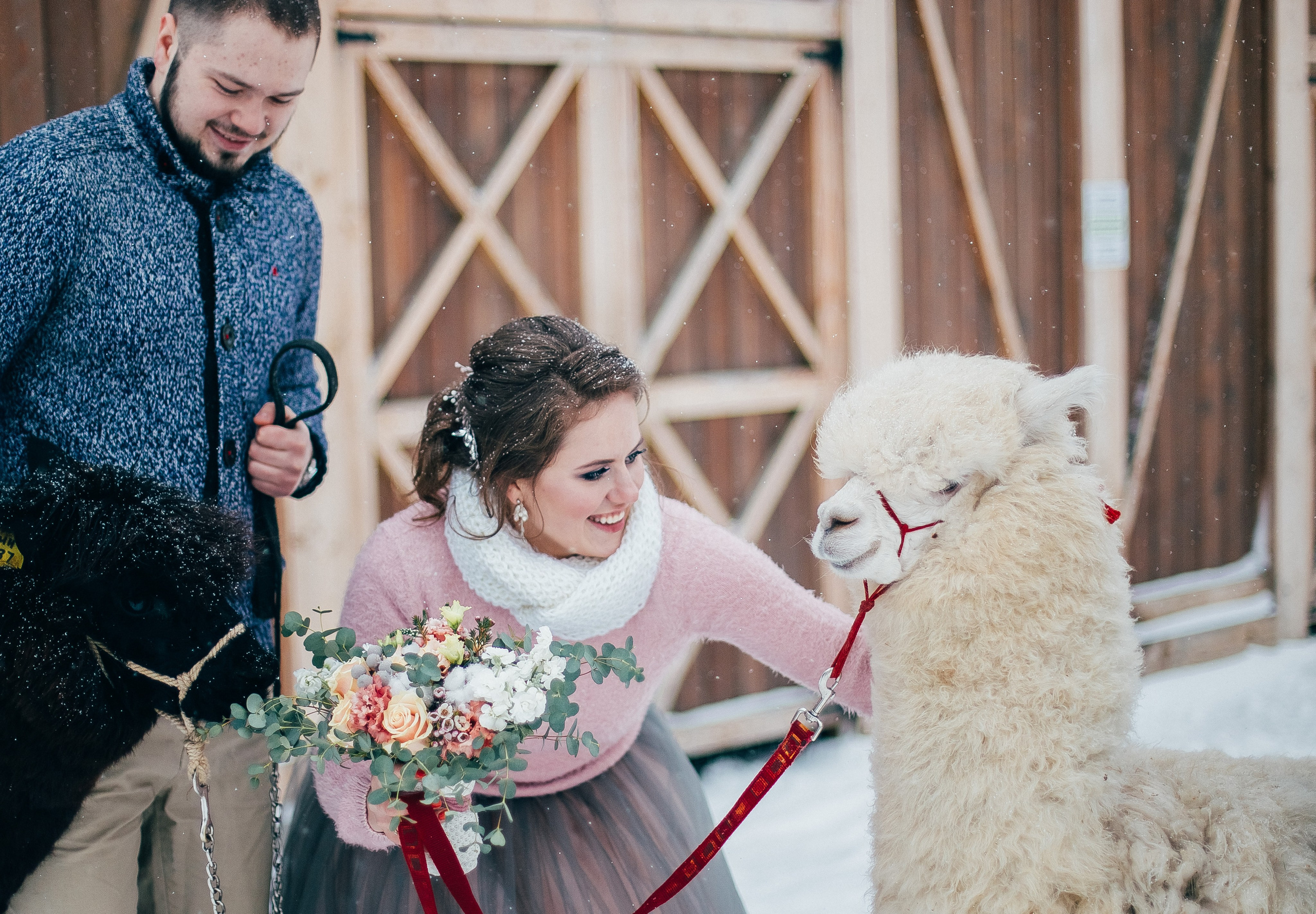 Антон и Анастасия. Свадебный и семейный фотограф Екатерина Бубнова
