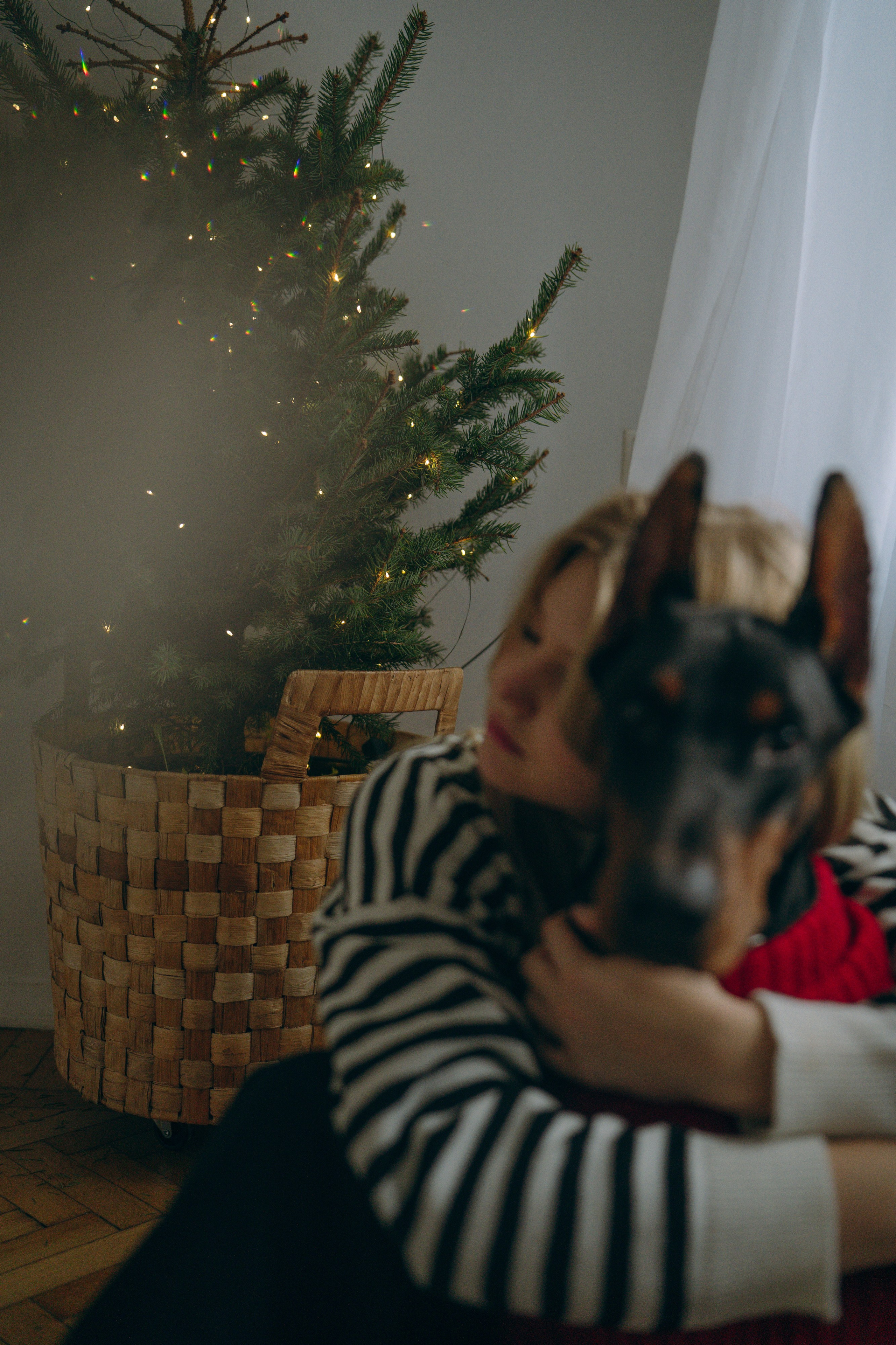 Саша и Асти. Фотограф анималист в Москве и Санкт-Петербурге Свиридова Анна